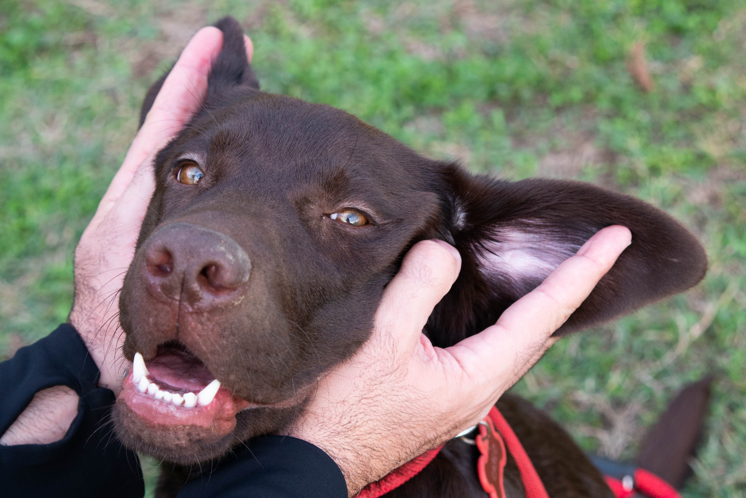 Big family session in Milan, Italy. Family and portrait photographer in Milan Daria Volkosh