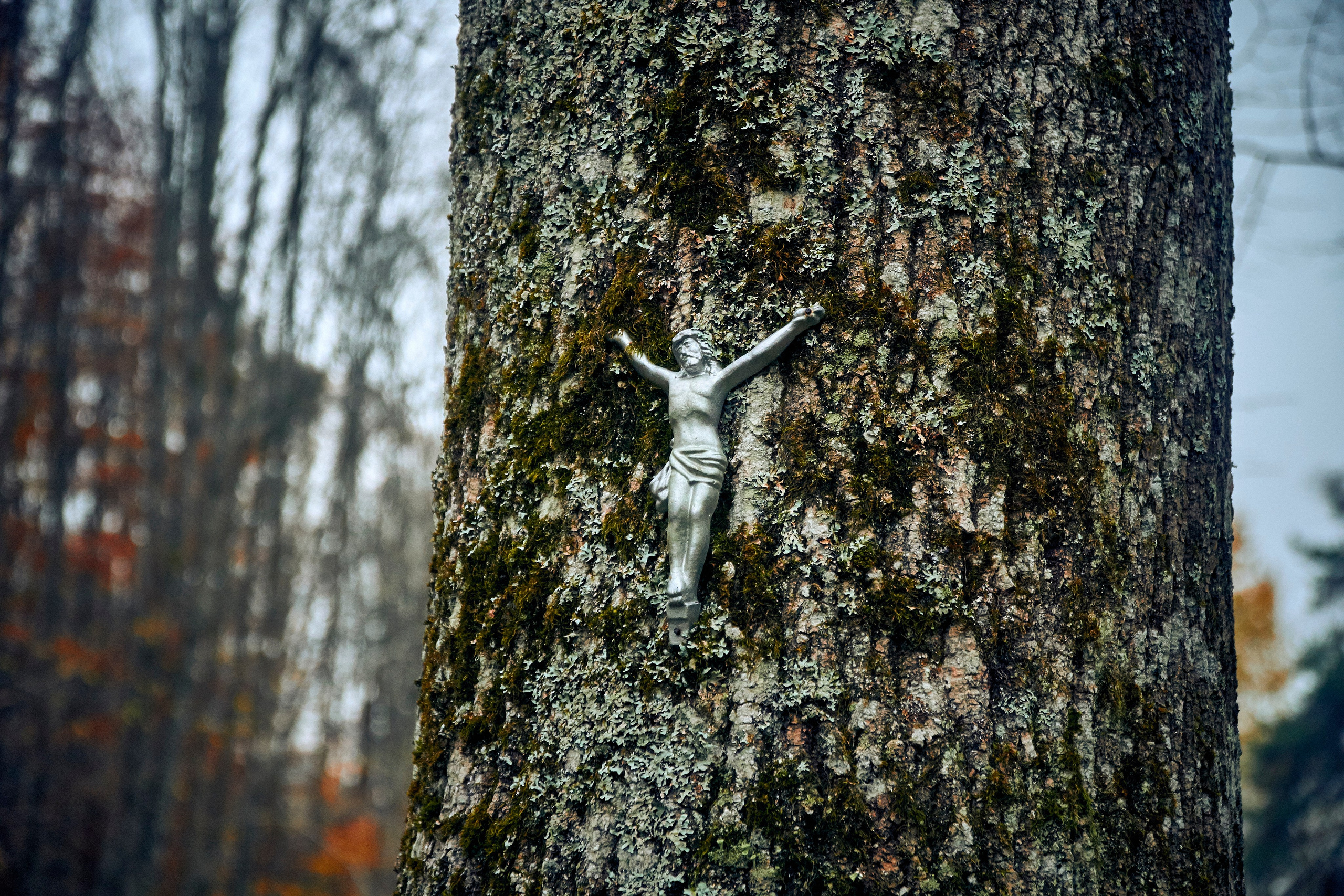 Бещады — здесь остановилось время. Андрей Шипилов — Фотография & Видеография