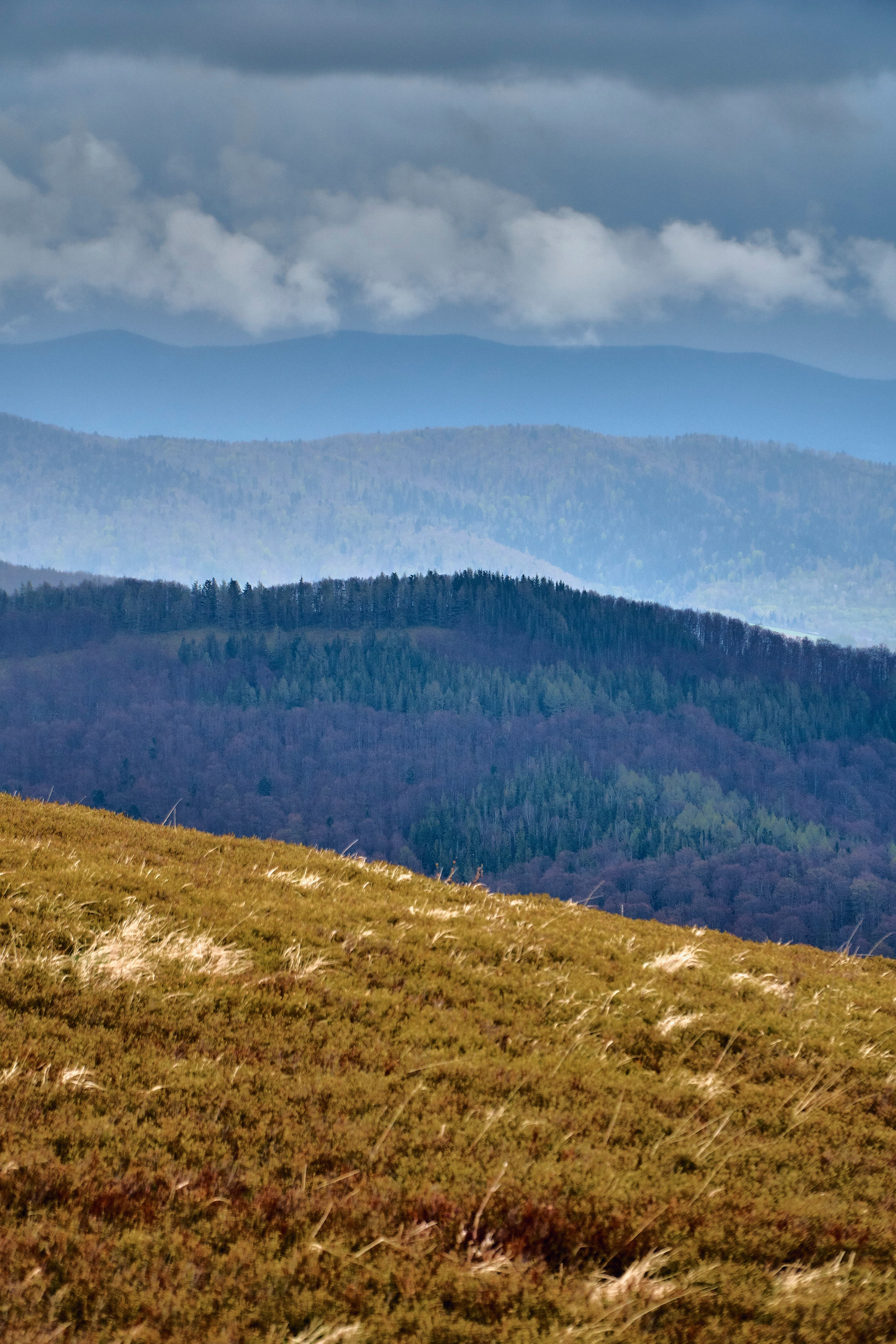 Бещады — здесь остановилось время. Андрей Шипилов — Фотография & Видеография
