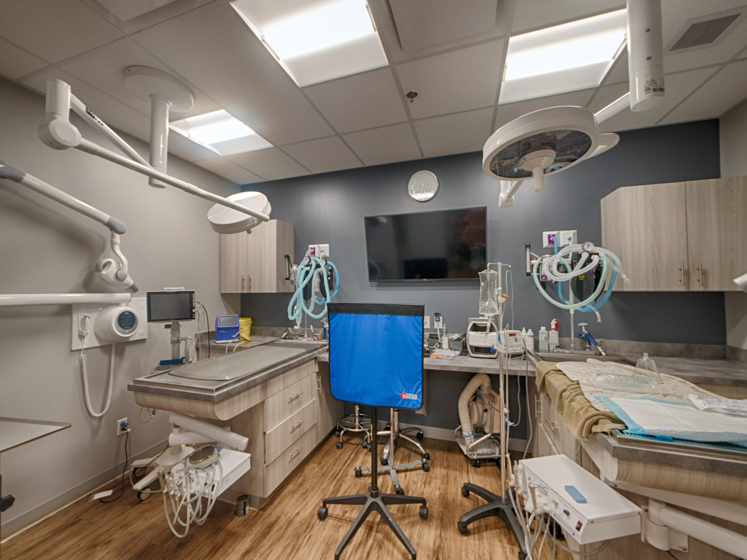 Real estate photography | Brintnell Veterinary Hospital