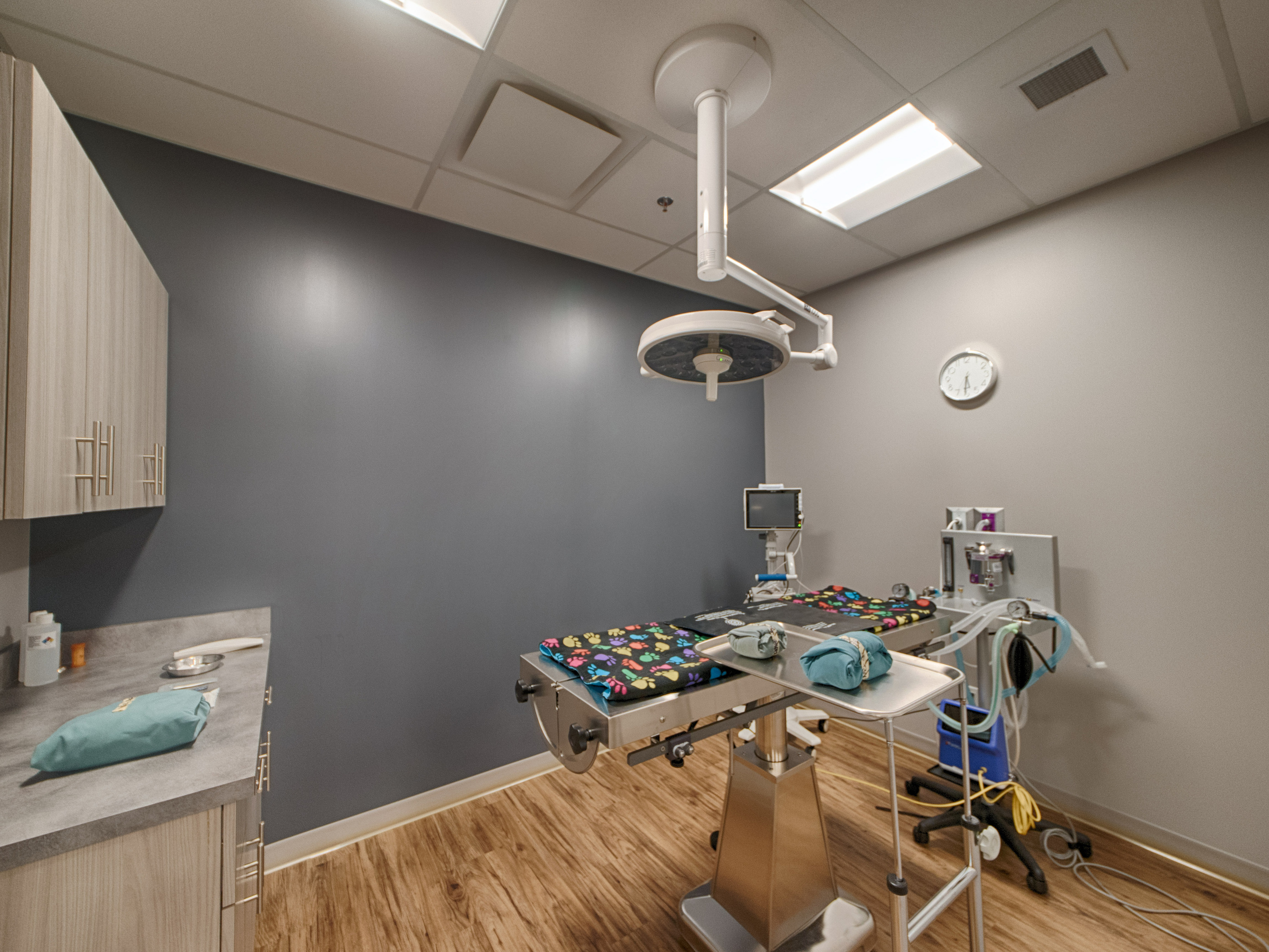 Real estate photography | Brintnell Veterinary Hospital