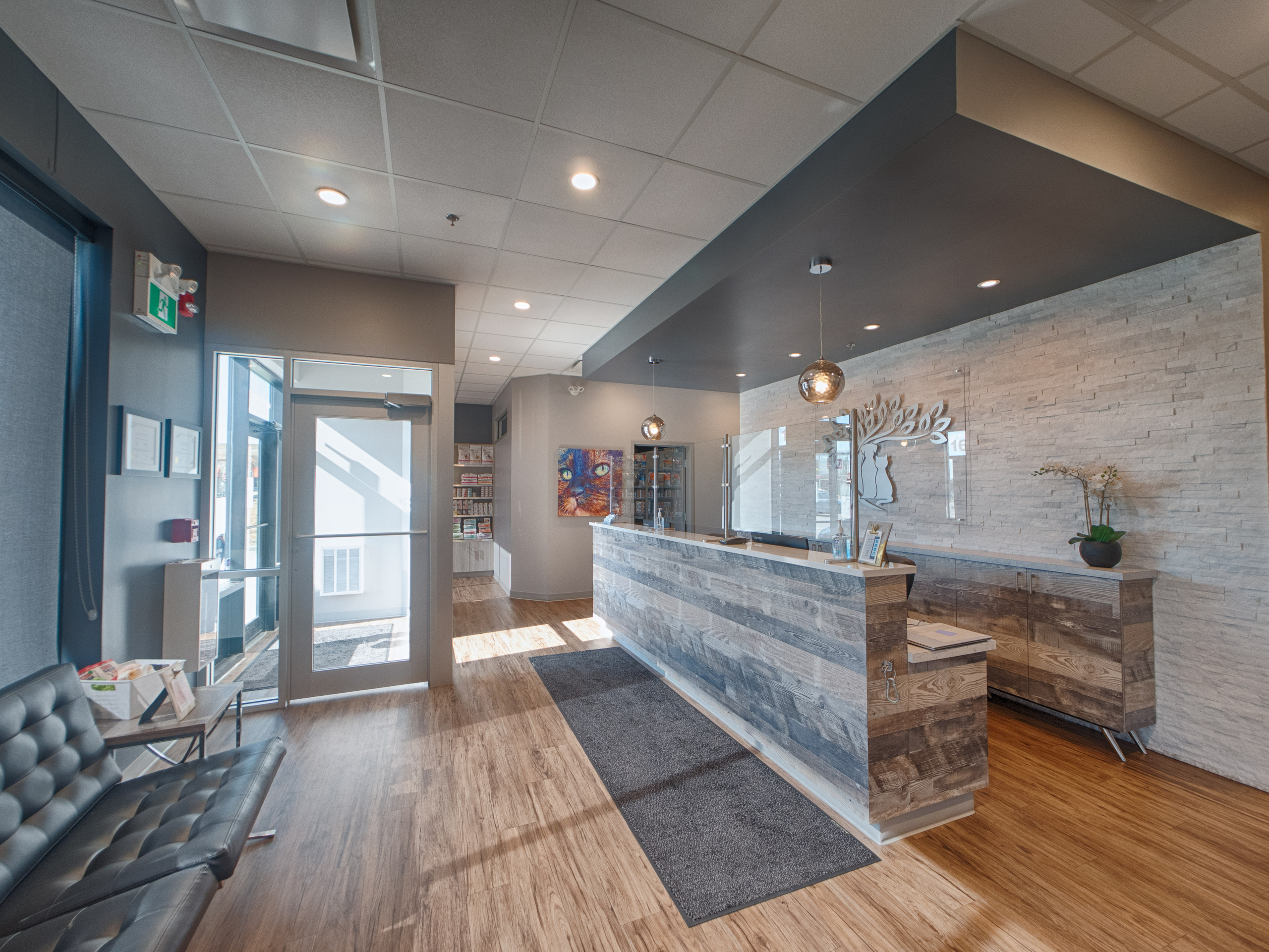Real estate photography | Brintnell Veterinary Hospital