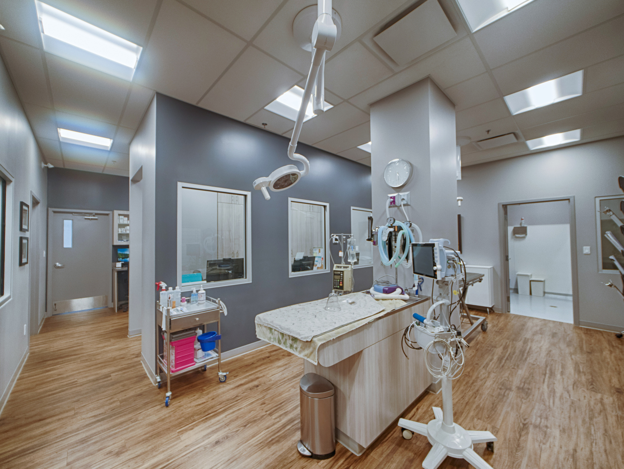 Real estate photography | Brintnell Veterinary Hospital