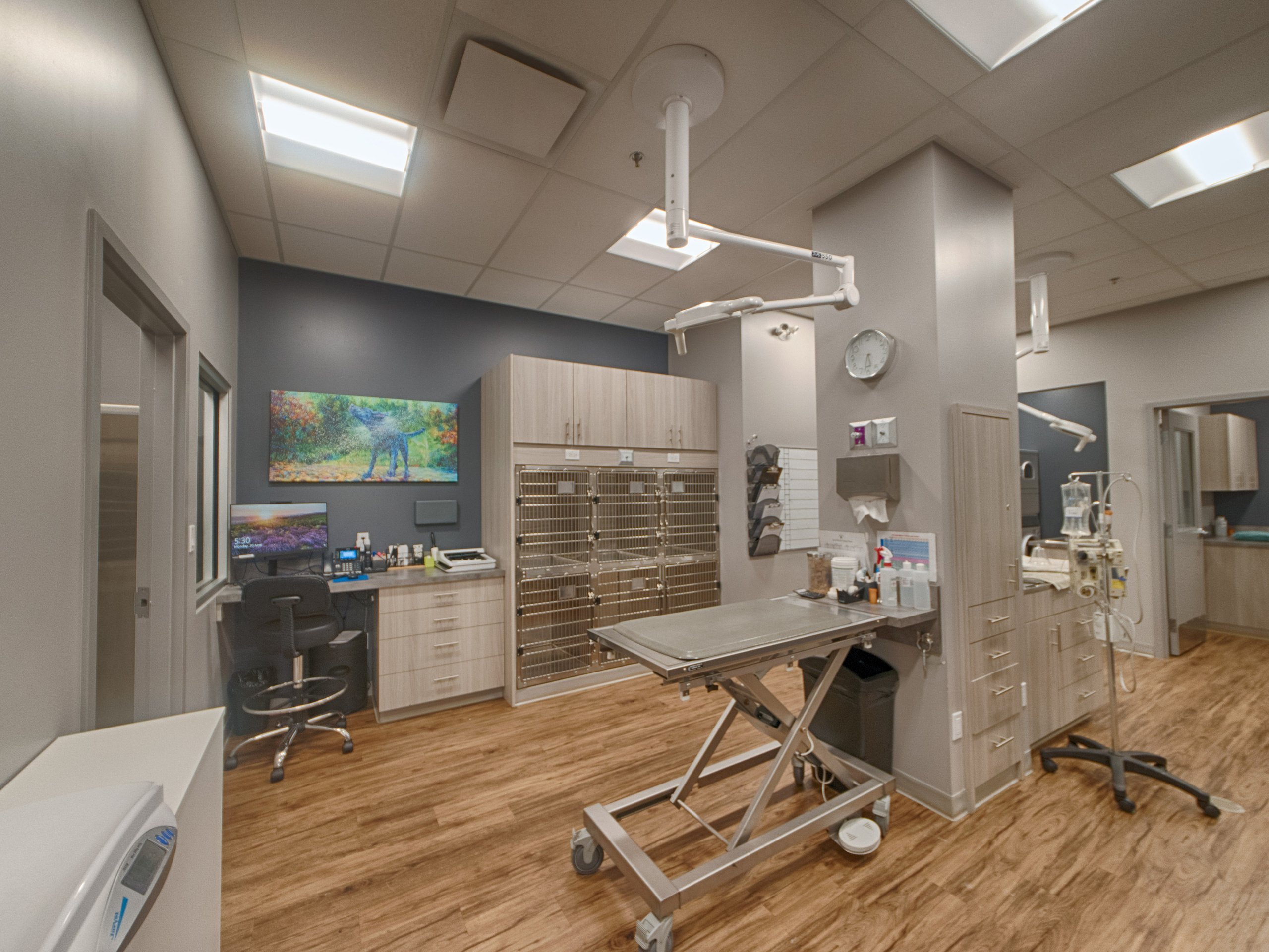 Real estate photography | Brintnell Veterinary Hospital