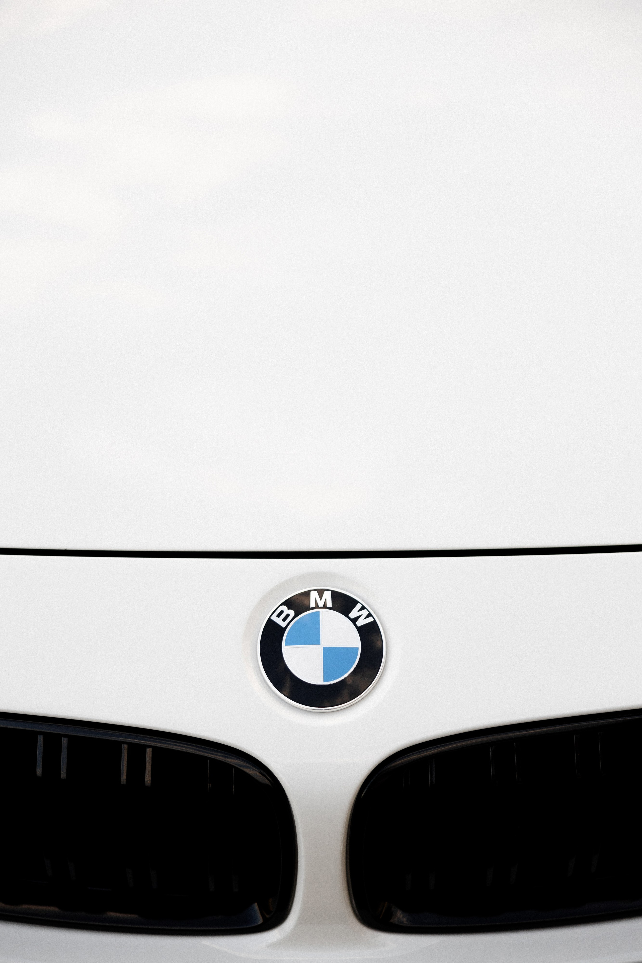 Максат и Самара. Азимжан Нуритдинходжаев — свадебный фотограф