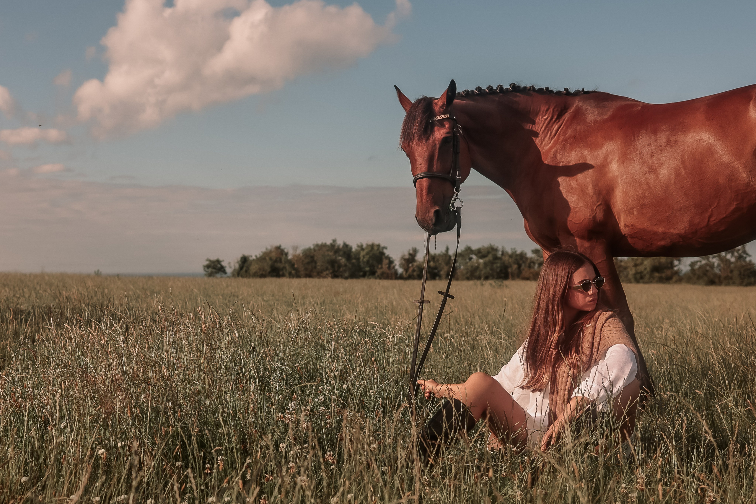 Among the Horses. Photographer Co Dublin, Balbriggan — Agata Maliseva