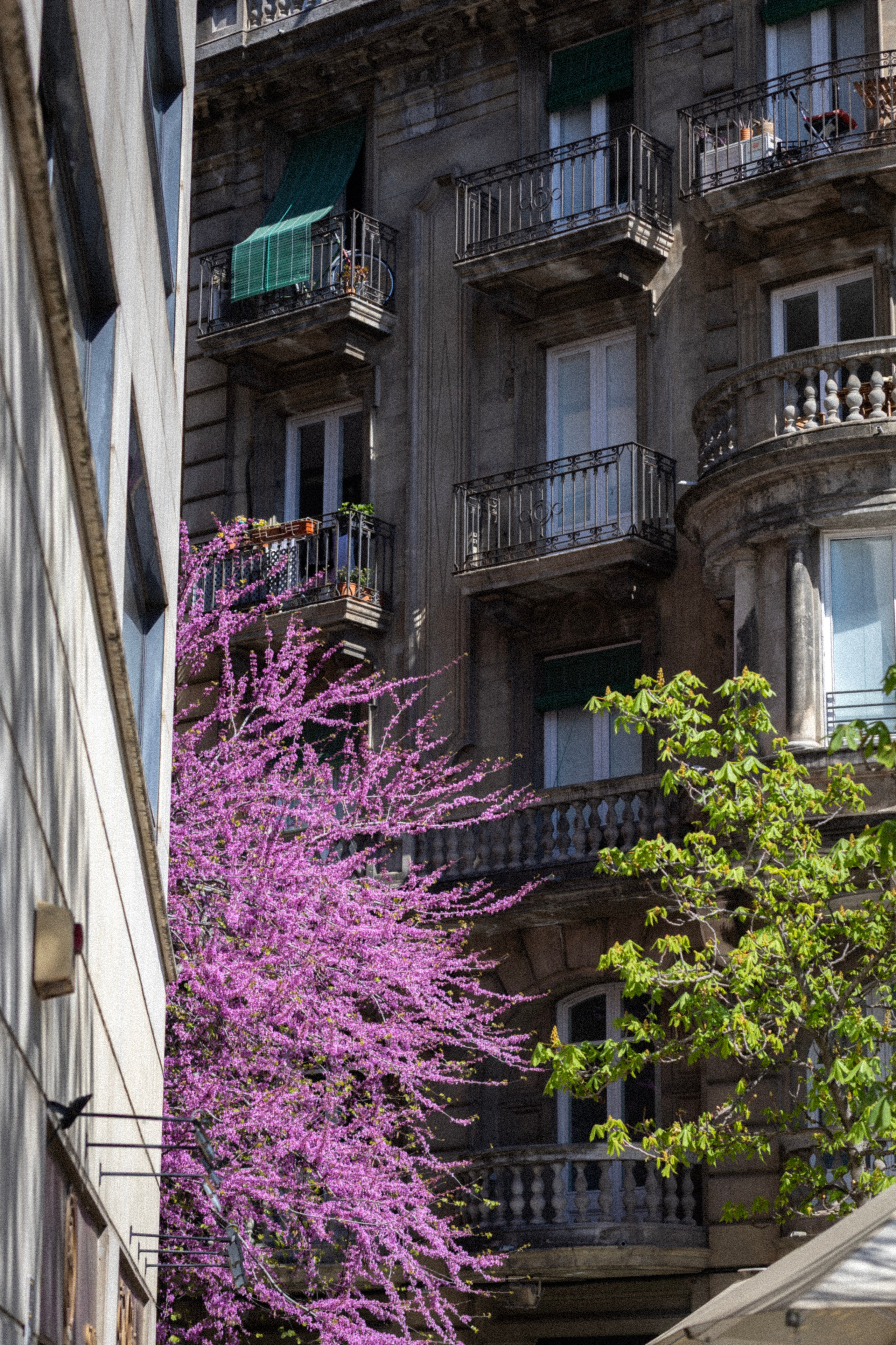 El toque de Gerona. Vladislav Makarov. Portrait & Street style photographer in Baku