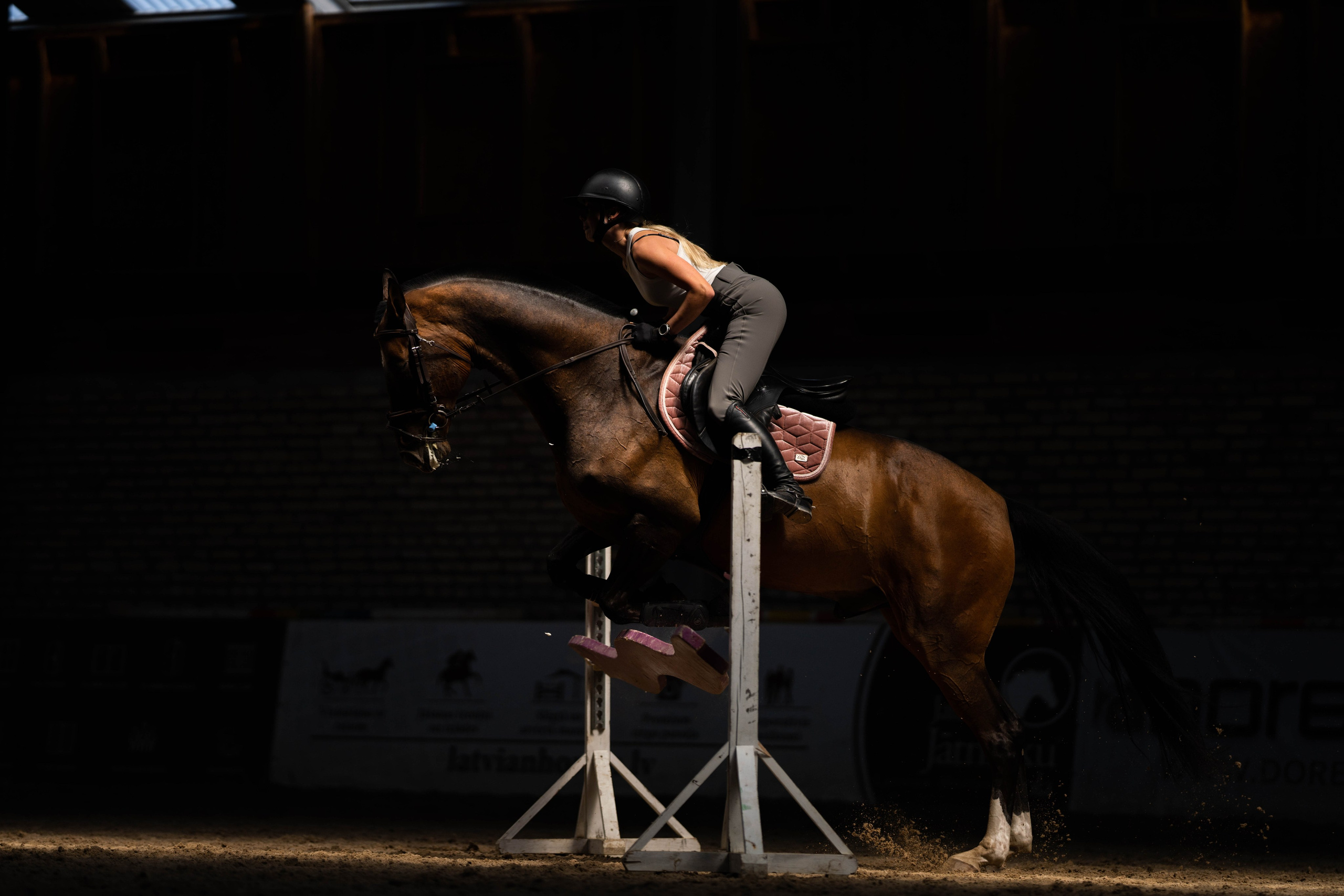 Equestrian sports. Sports and portrait photographer in Riga