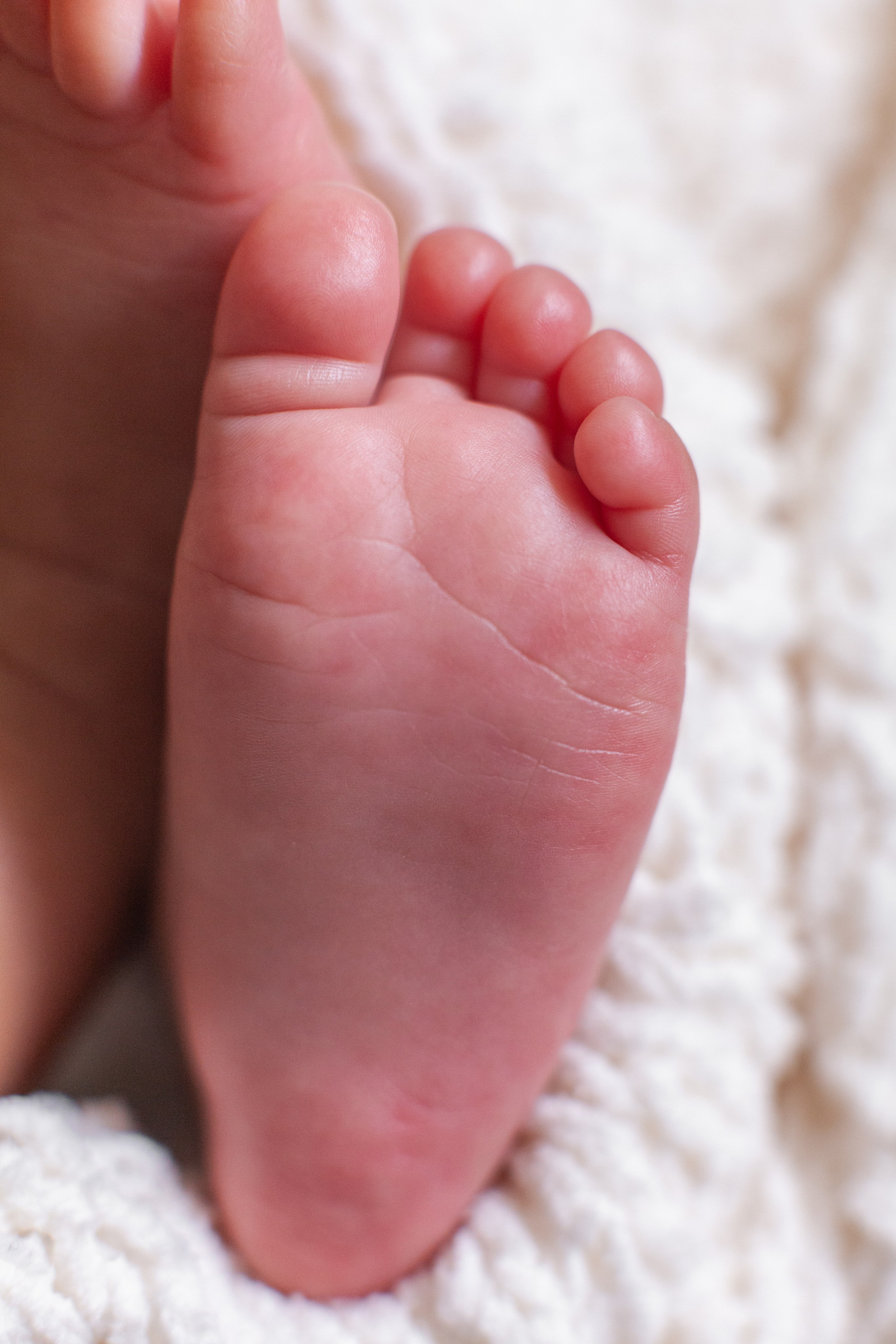 Older newborns. Marina Pravda Photography San Francisco Bay Area