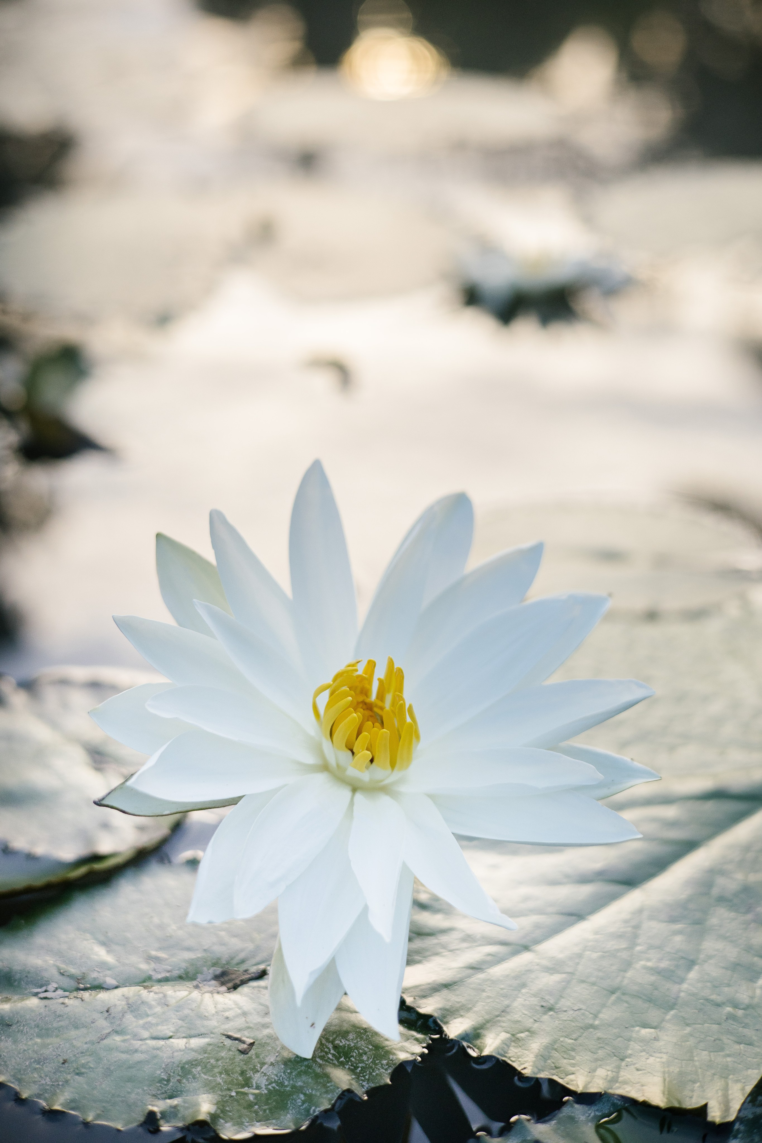 Kamau & Siobhan. Get.it.feel — Aesthetic Photography and Videography