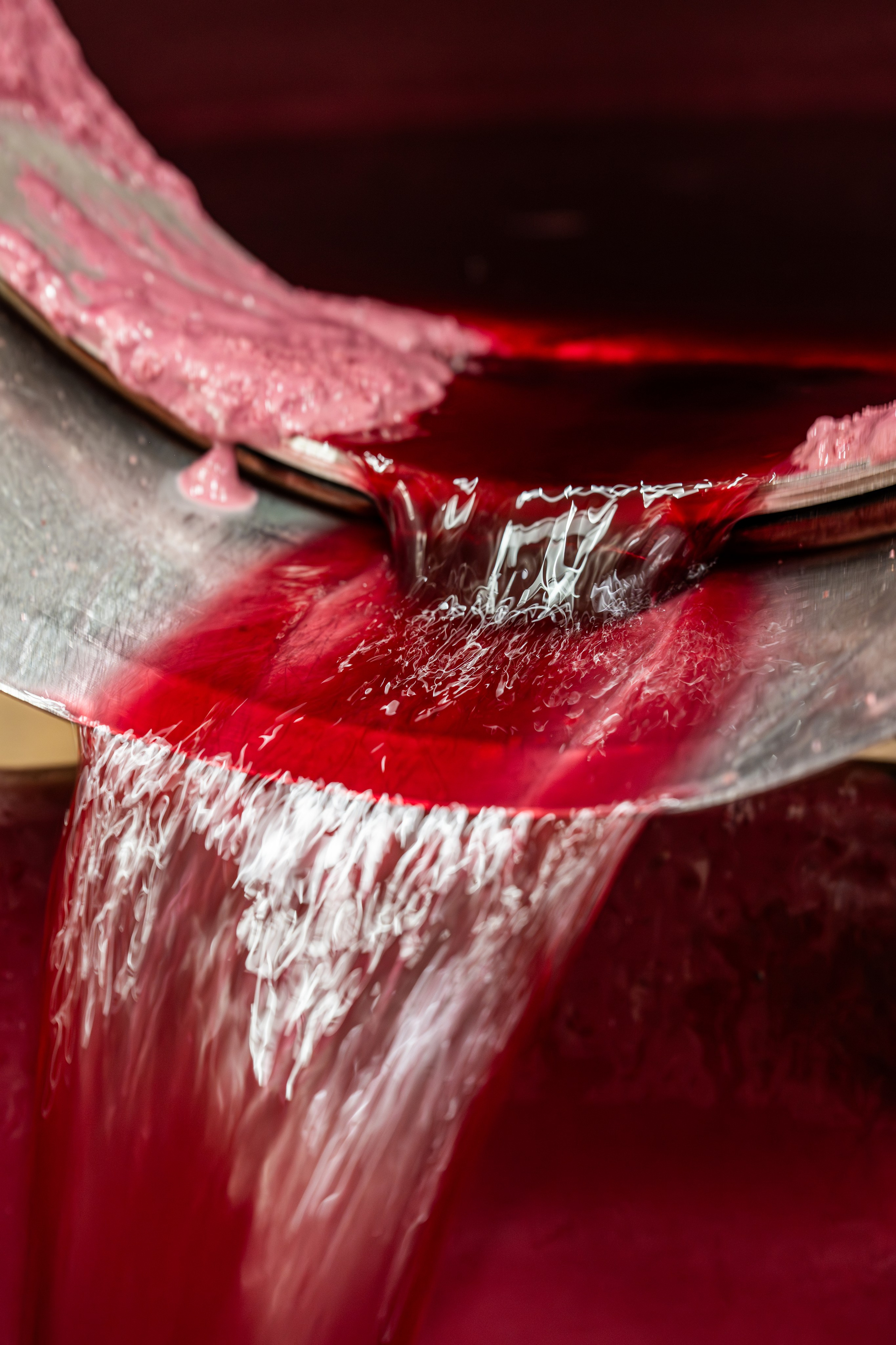 Cantine Boasso Serralunga. “Gianmaria Coscia fotografo per passione”