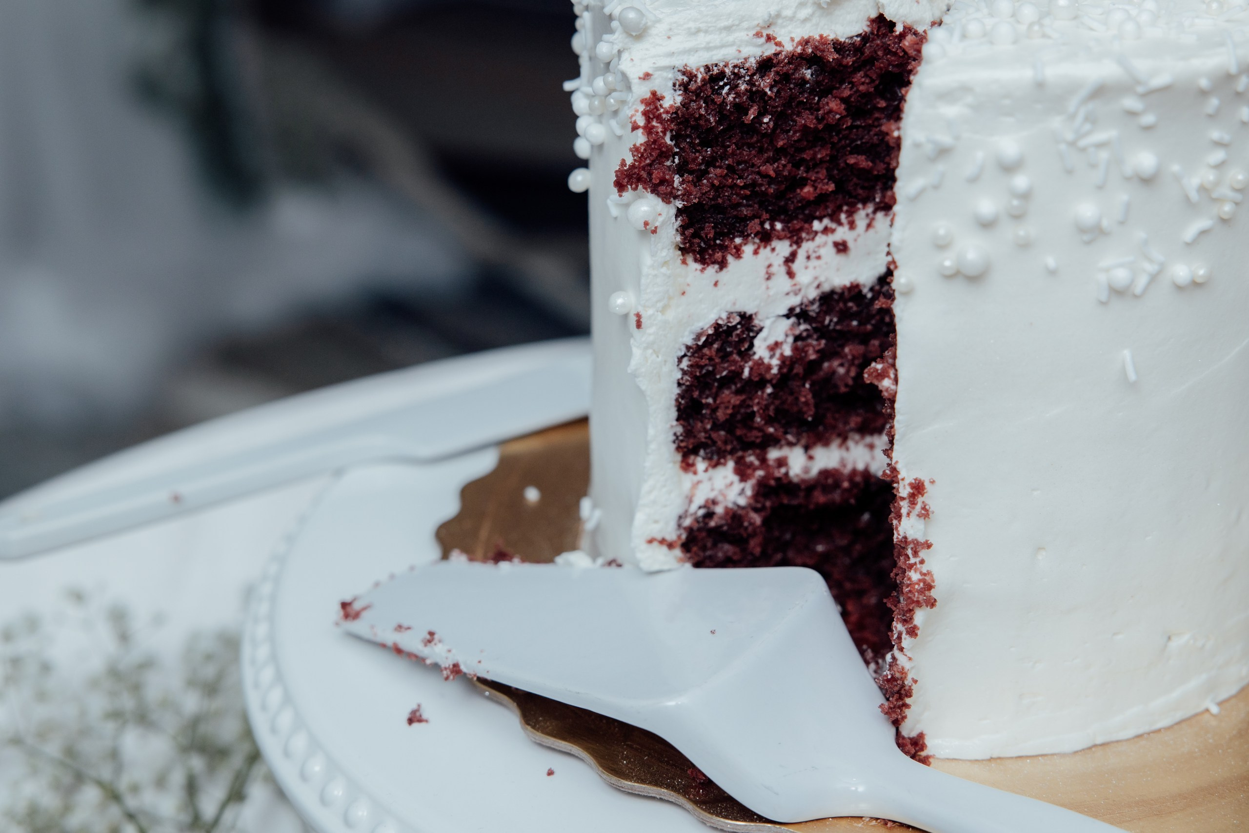 Viktoriya & Brody. Wedding Photographer in Winnipeg — Cinematic & Timeless by Vitiuk Photography