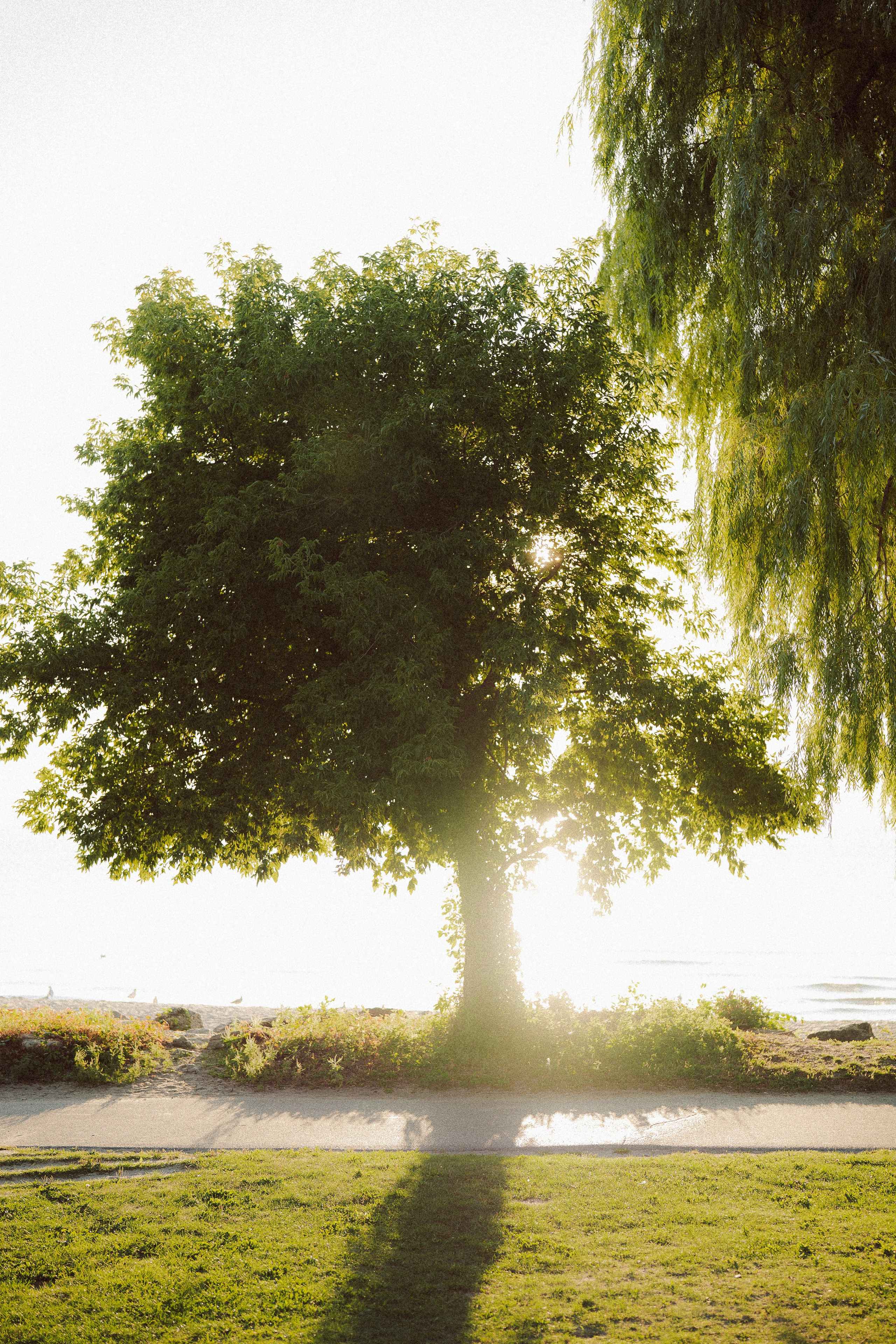 Moments that Breathe! Ft. Naveen & Soniya. Fine art Wedding Photographers in India & Canada