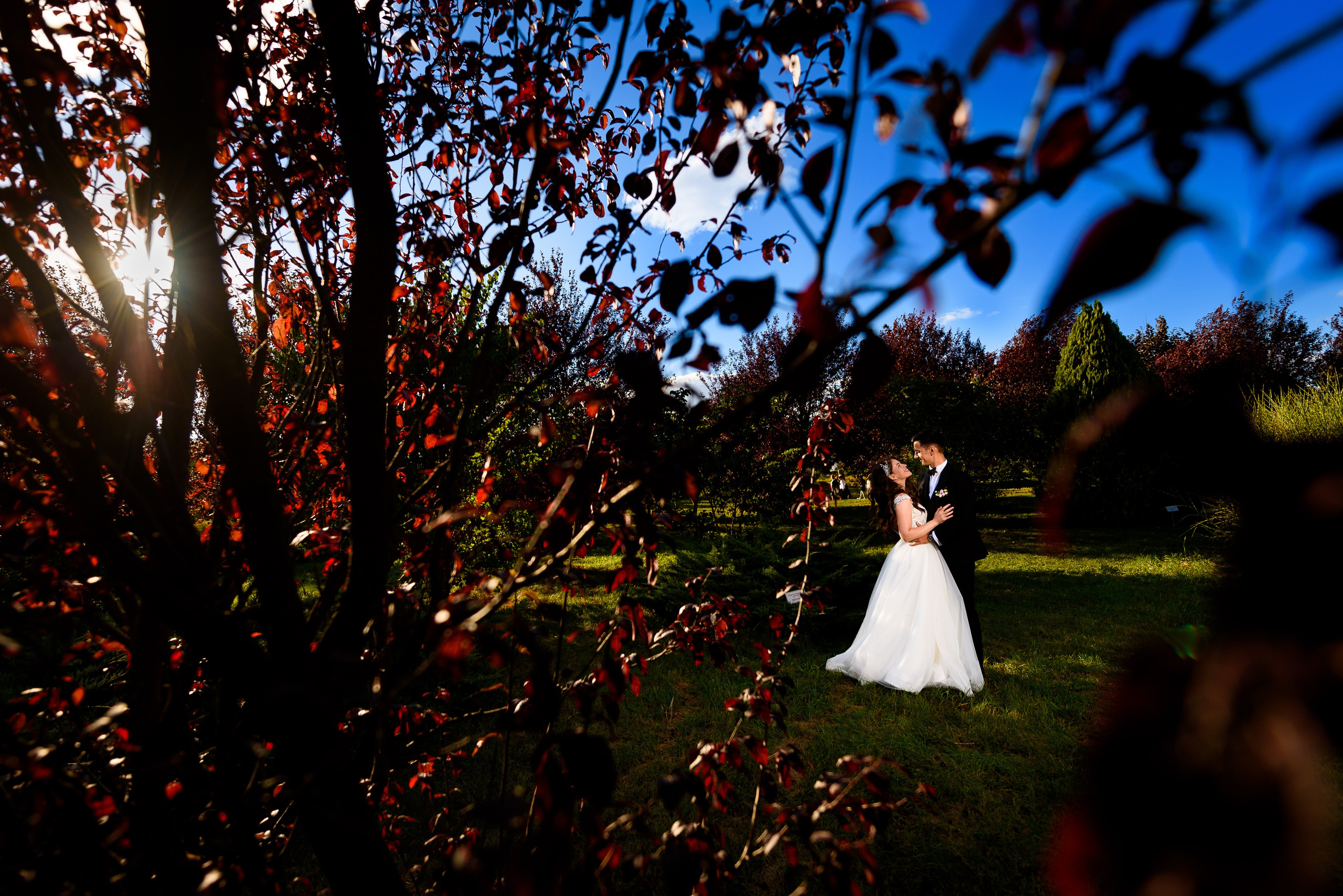 Wedding. Alin Doana Visual Art