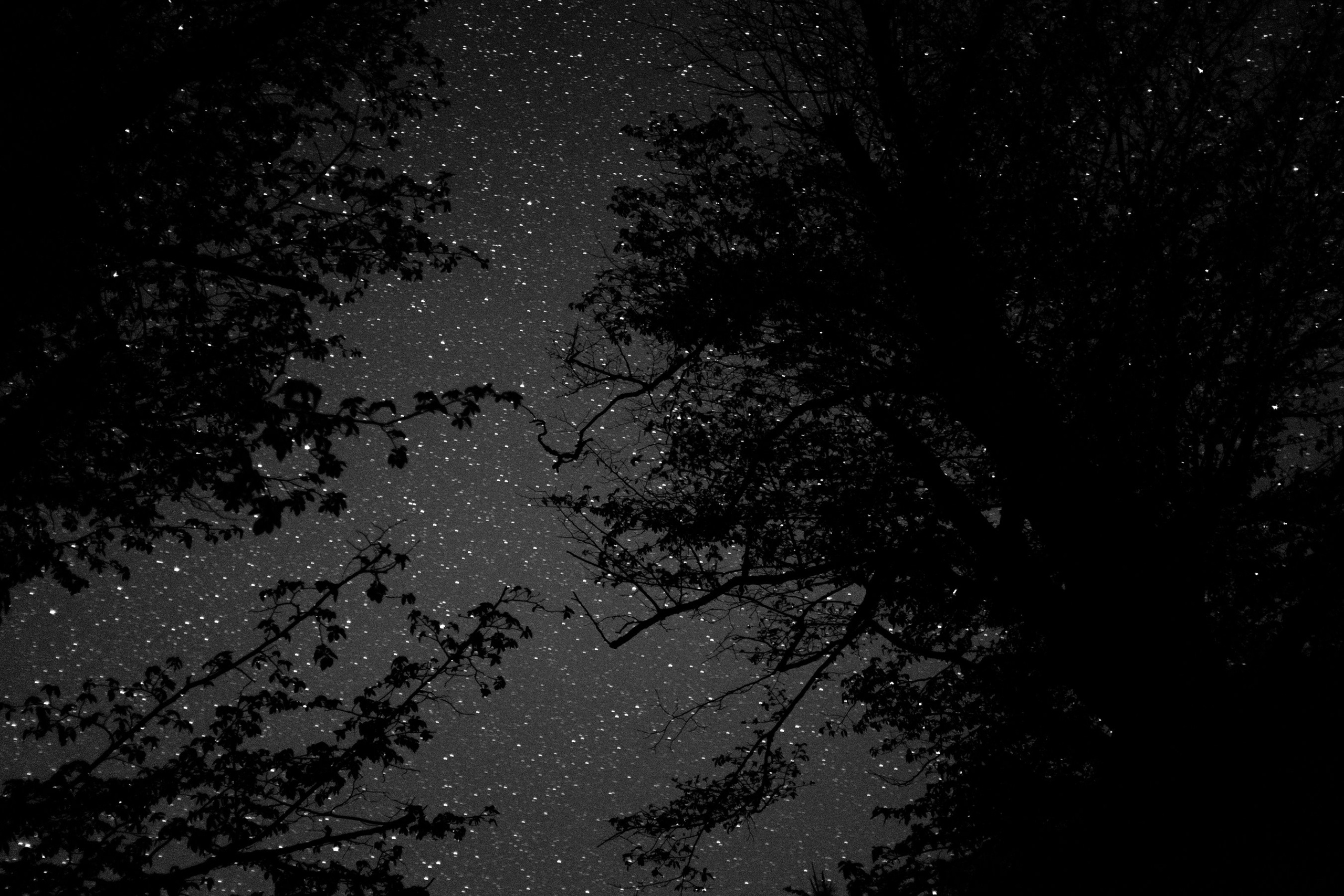 “Mob.” (Military mobilization), 2016. Areg Balayan — Photographer/Visual Artist