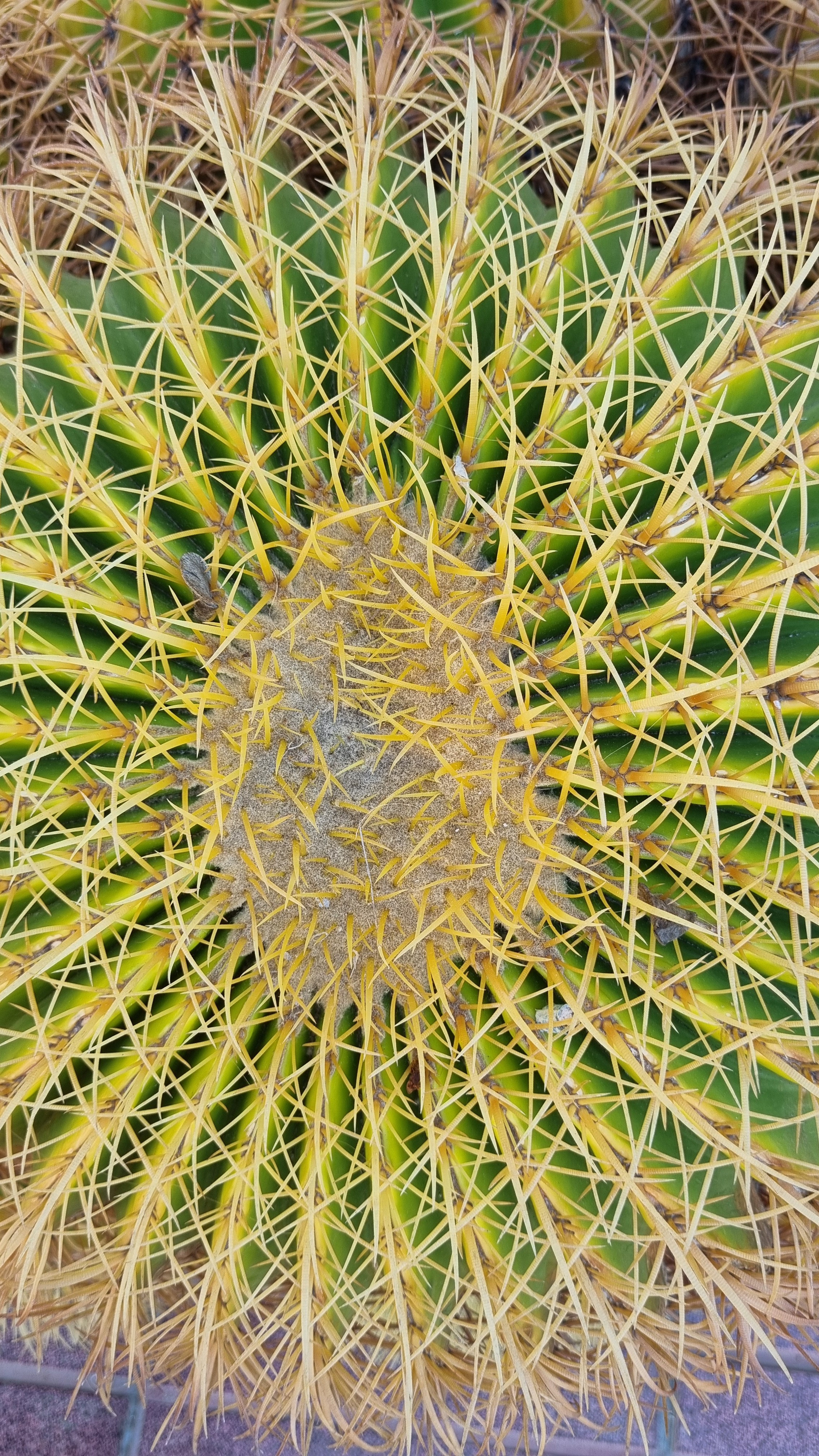 Gran Canaria 2024. Марина фотограф из Нюрнберга