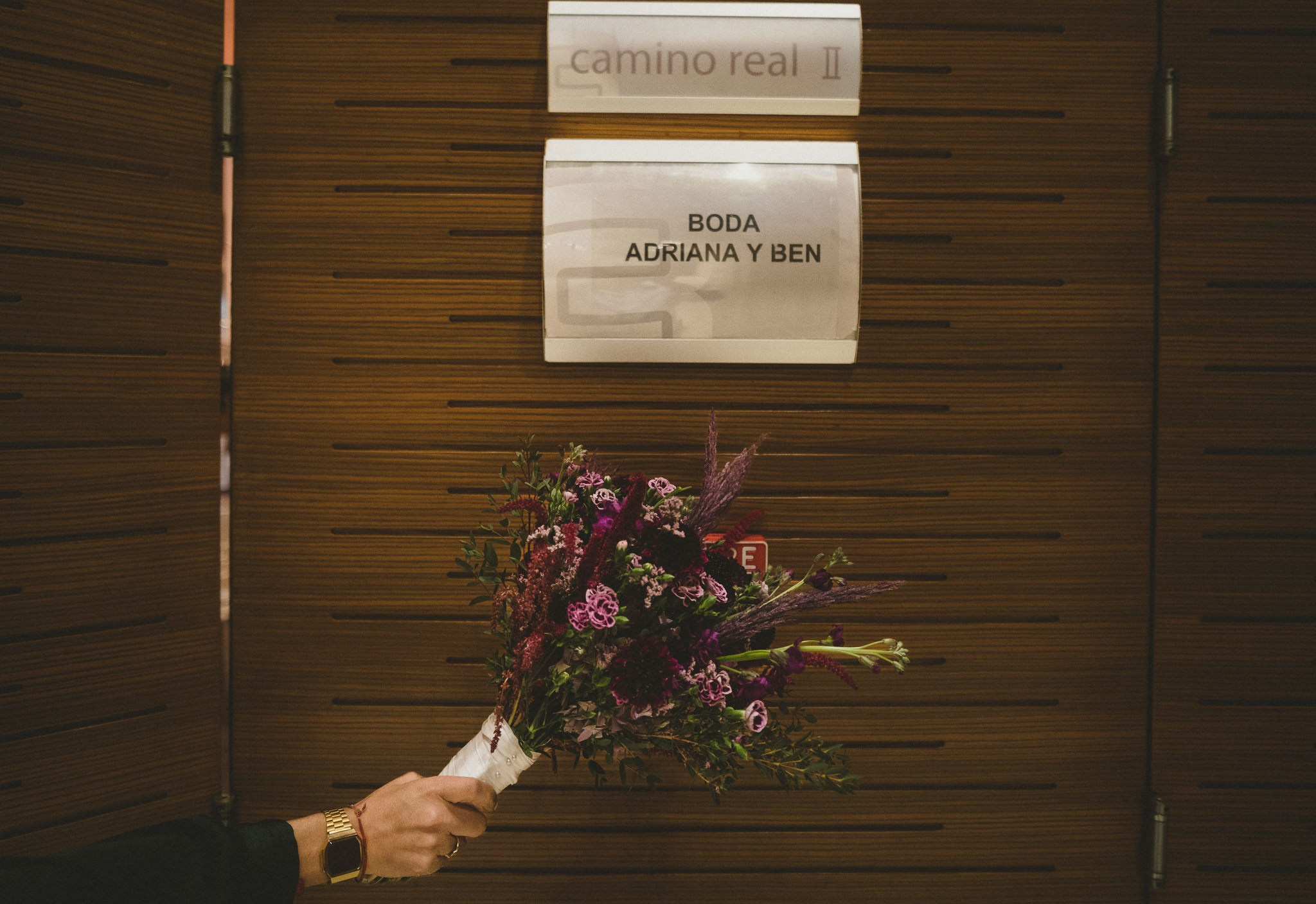 Adri & Ben. Wedding and family photographer in Mexico City