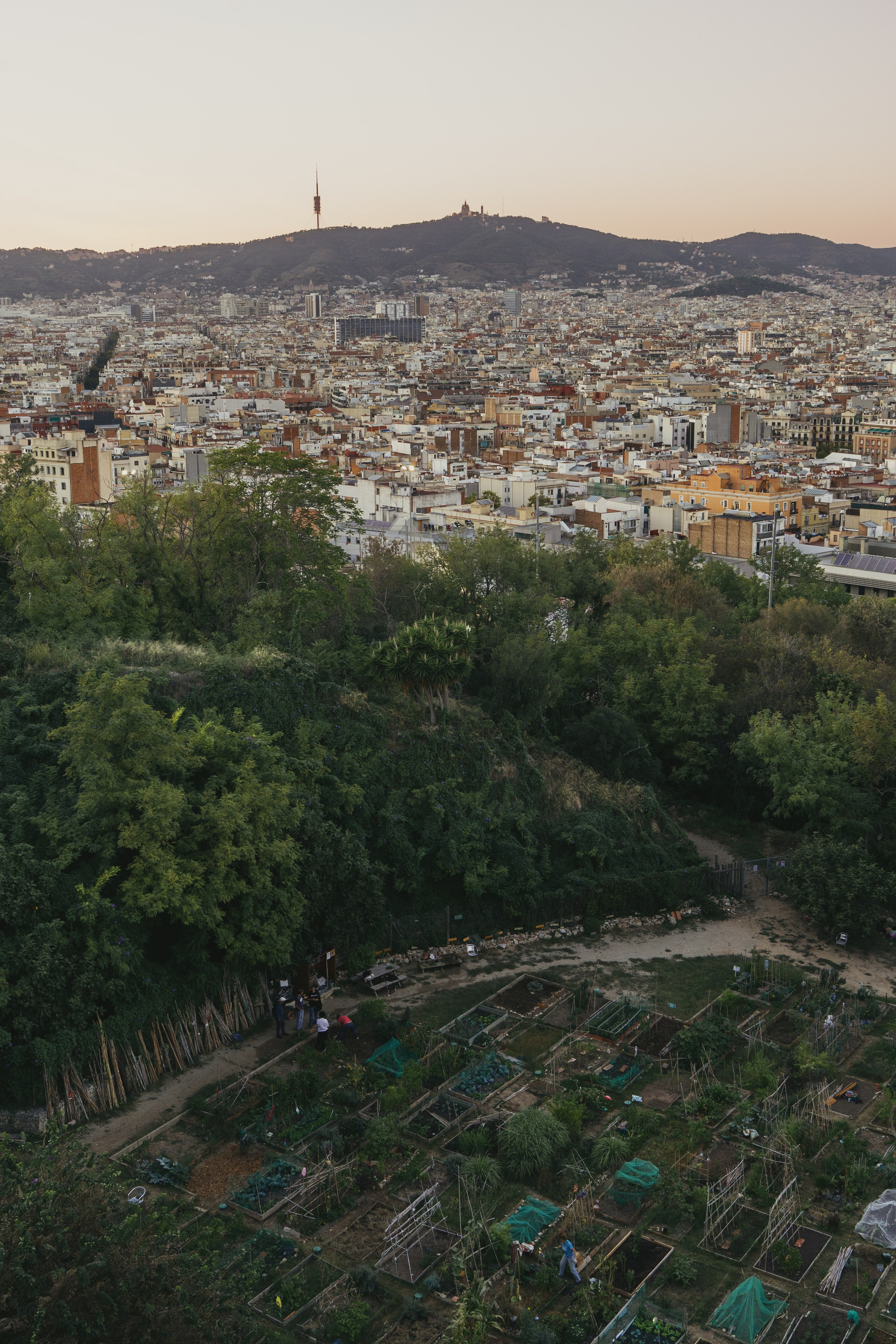 Galeria. Creador de contenido visual en Barcelona | Dima Kit