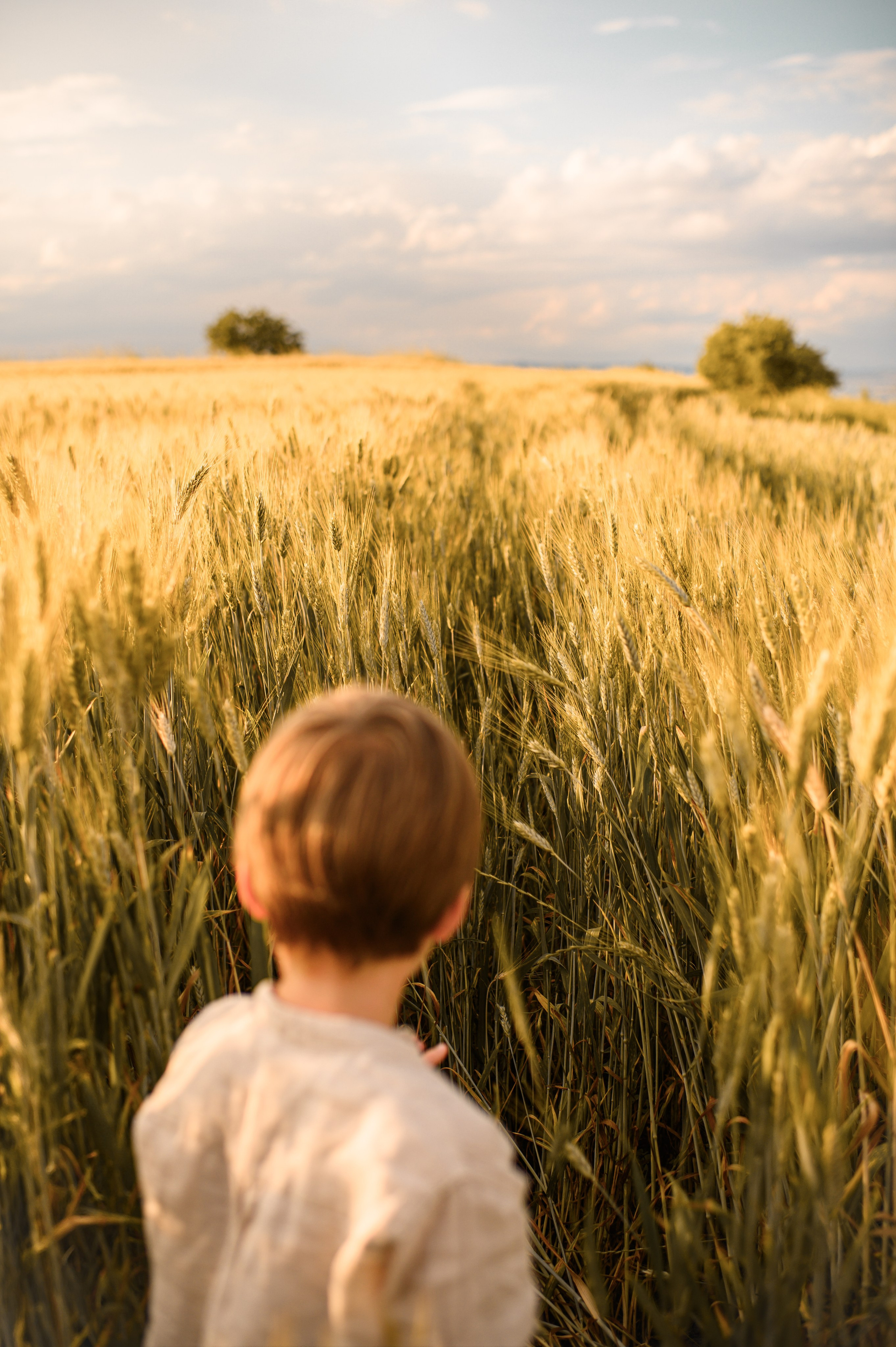 Wheat fields. Семейная, детская, портретная и предметная фотосъемка в Салониках