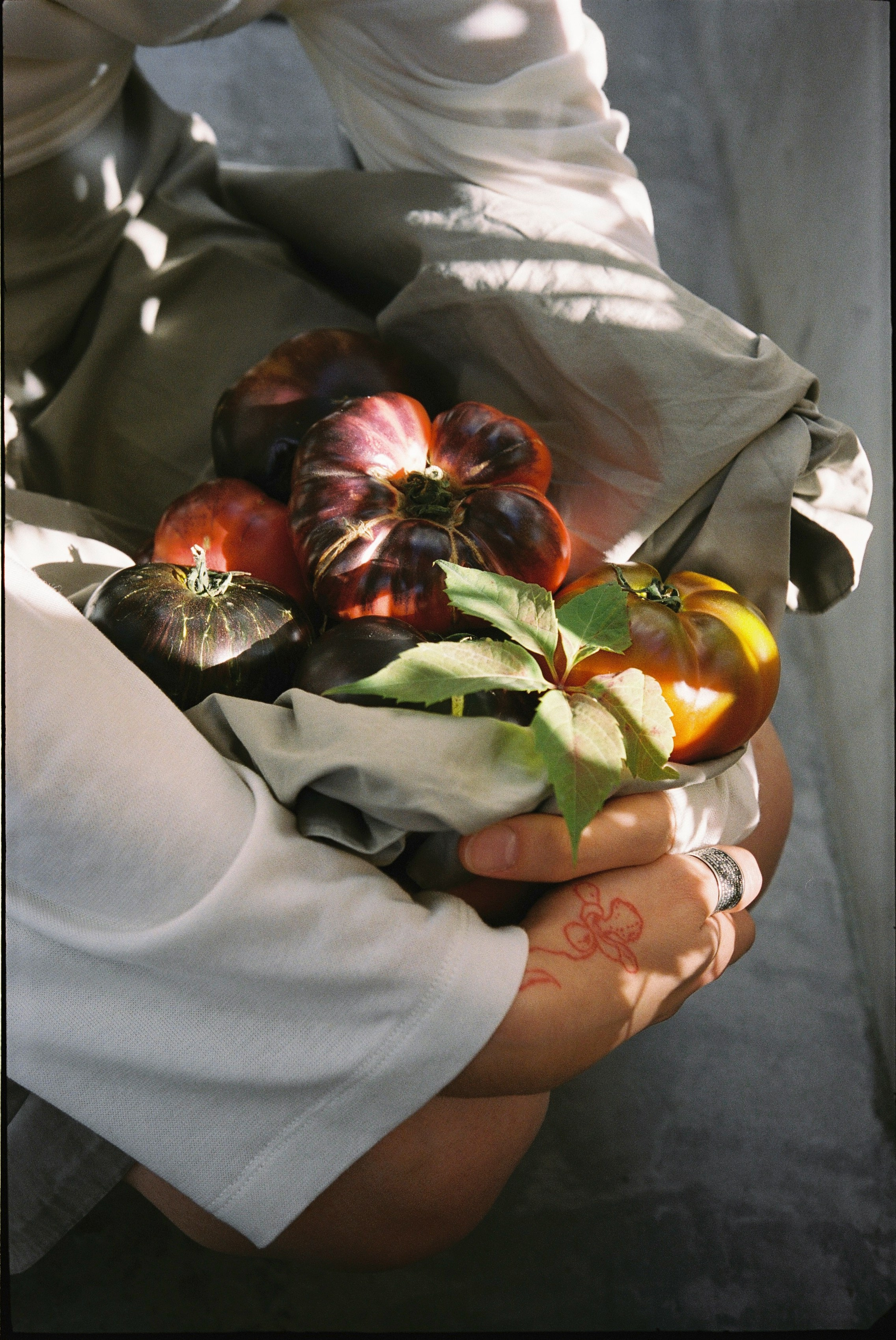 Restaurants & parties