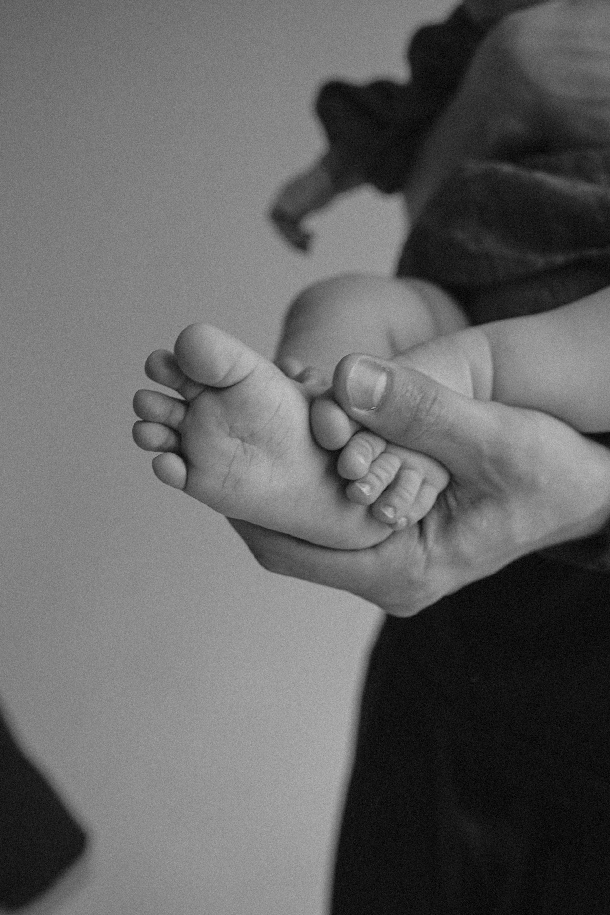 Студийная семейная. Фотограф Москва Ларина Юлия