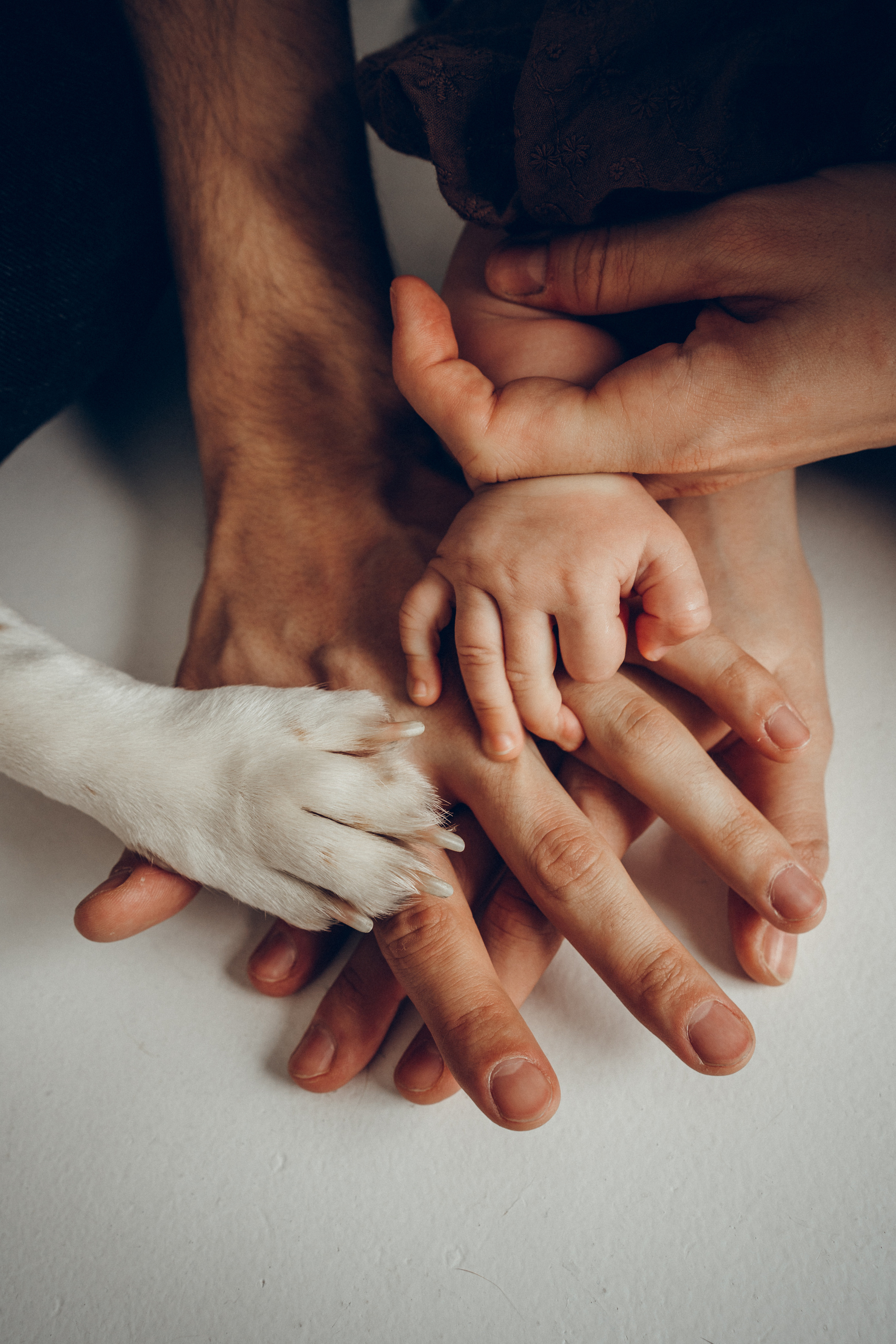 Студийная семейная. Фотограф Москва Ларина Юлия