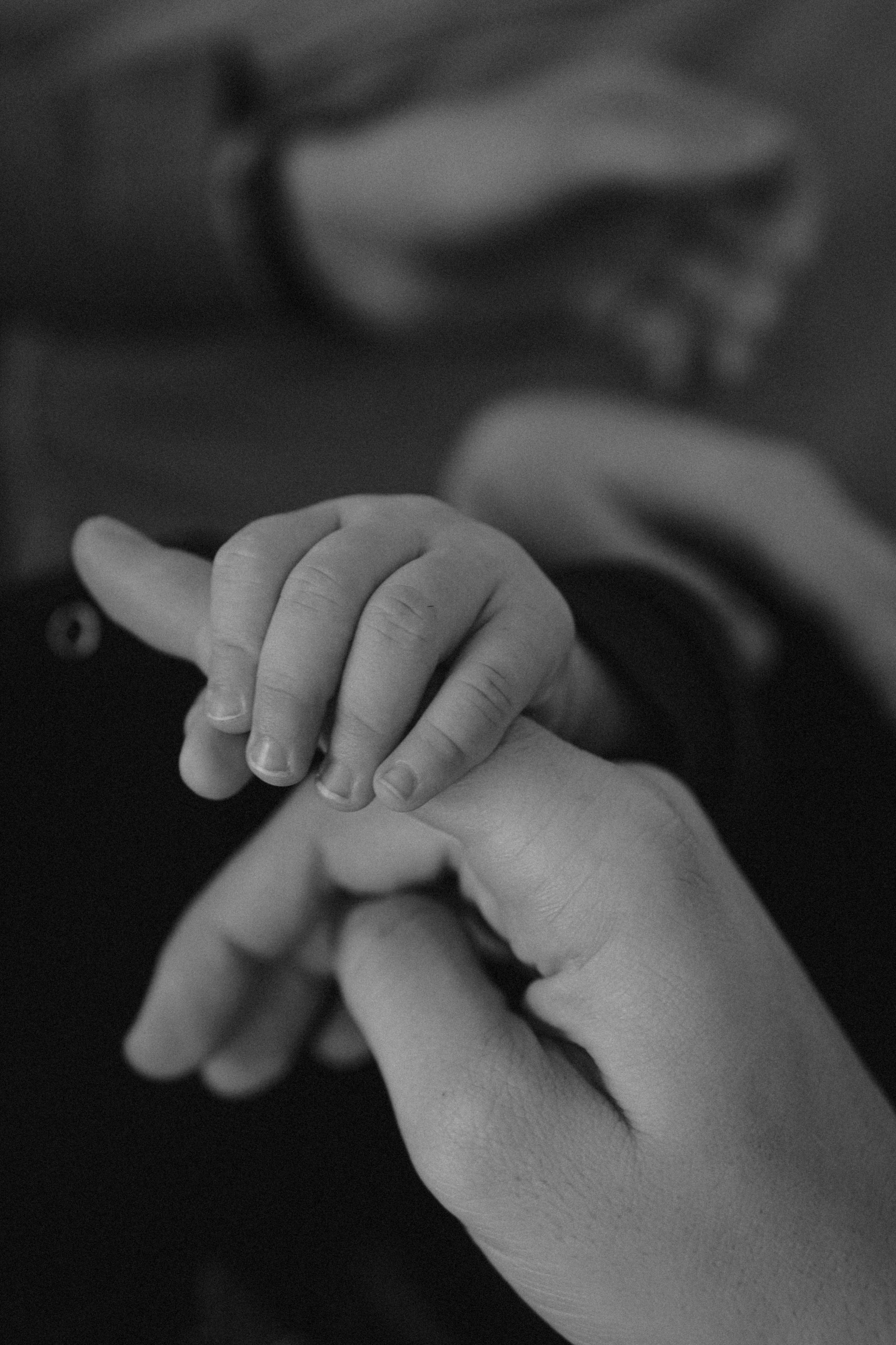 Студийная семейная. Фотограф Москва Ларина Юлия