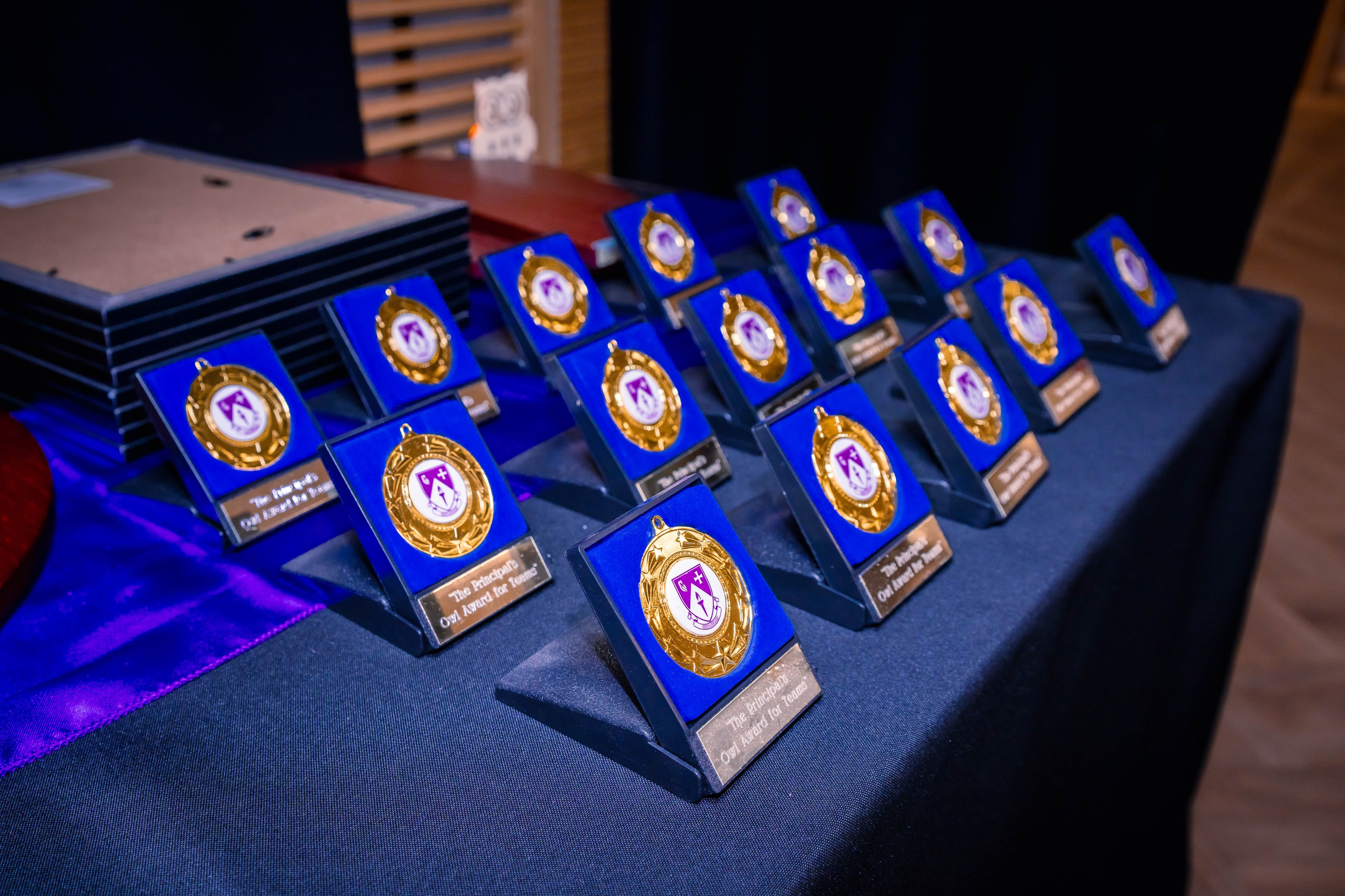 The Owl Society. Expect Miracles Photography