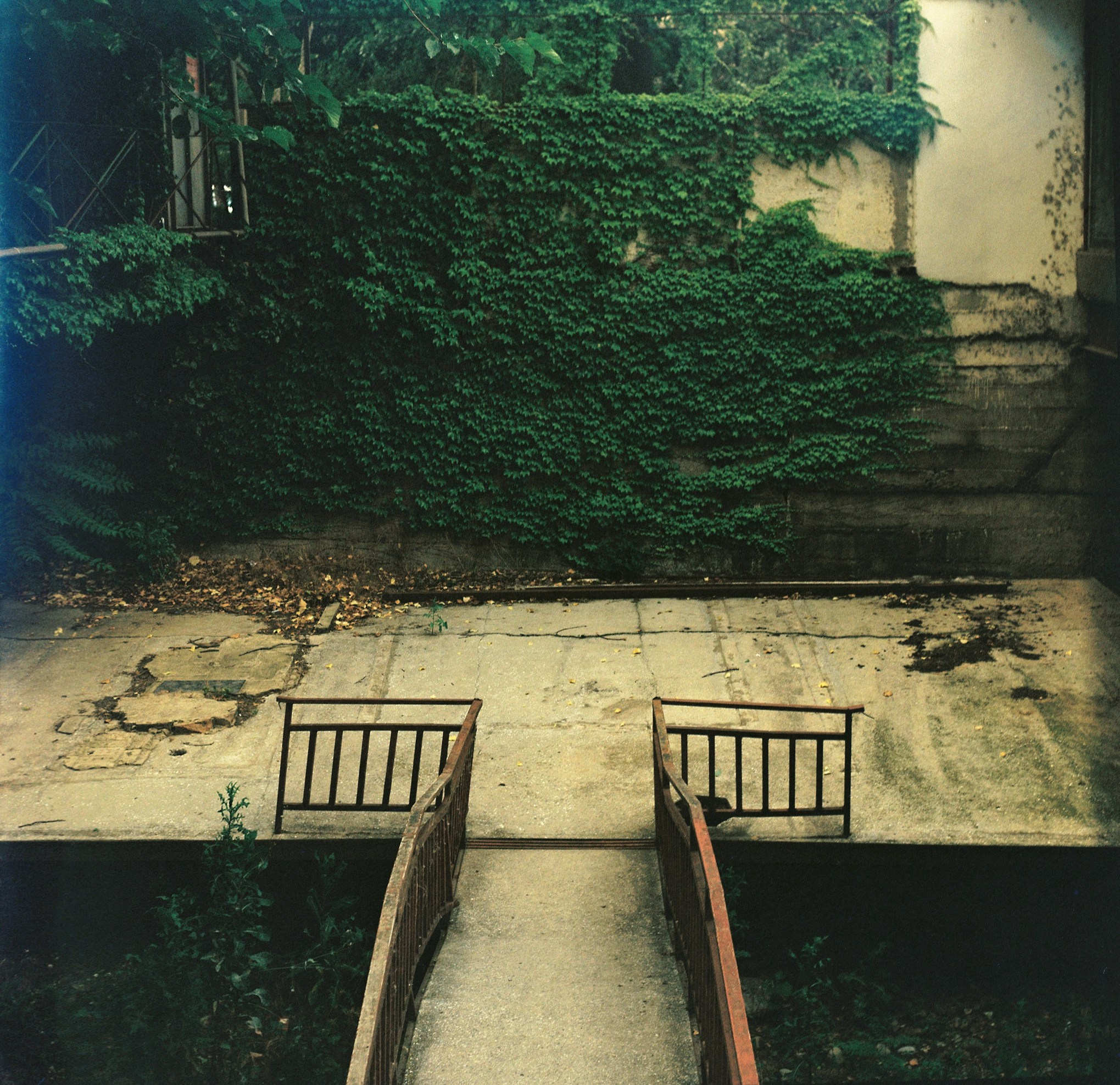 Landscapes. Map of the Borderlands