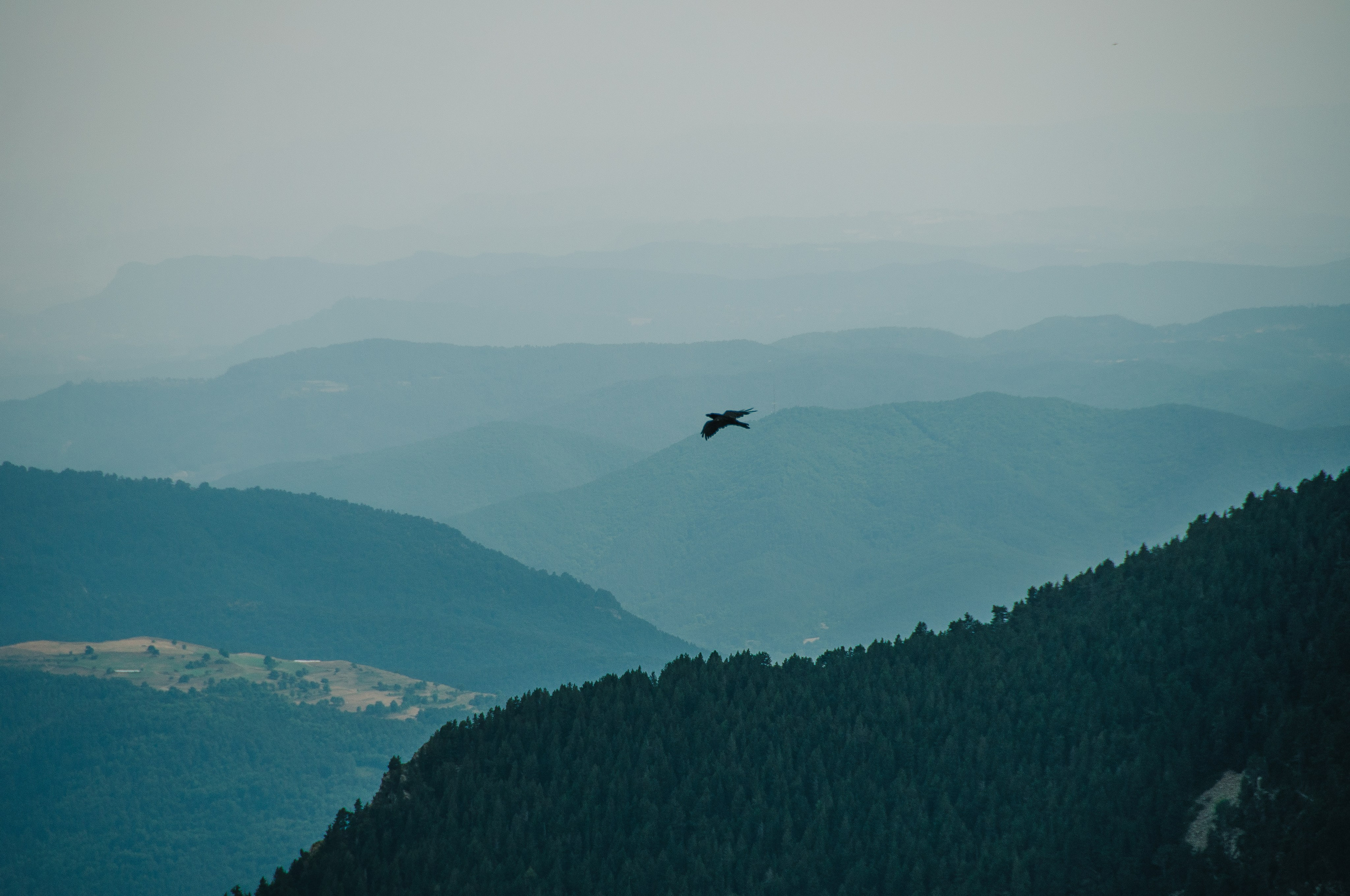 Galeria. Creador de contenido visual en Barcelona | Dima Kit