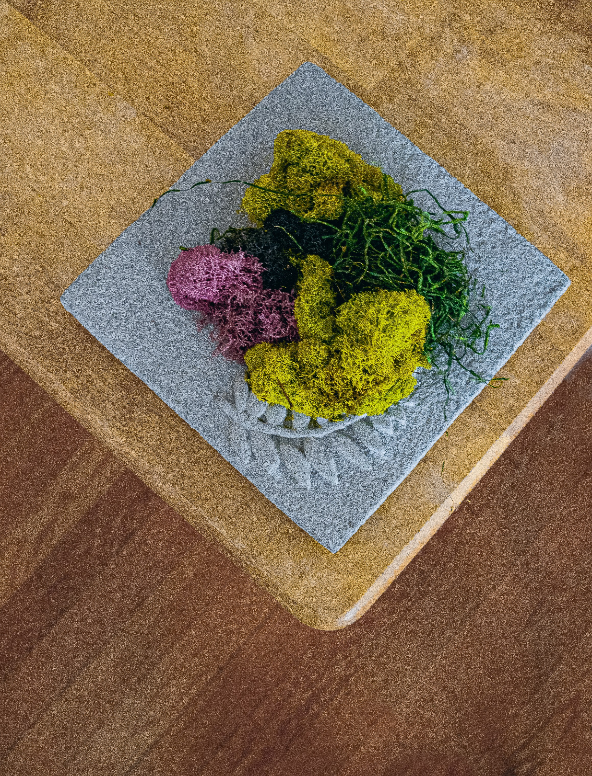 Anna & Moss magic, Content. Yana Bobrova | Artistic Photography