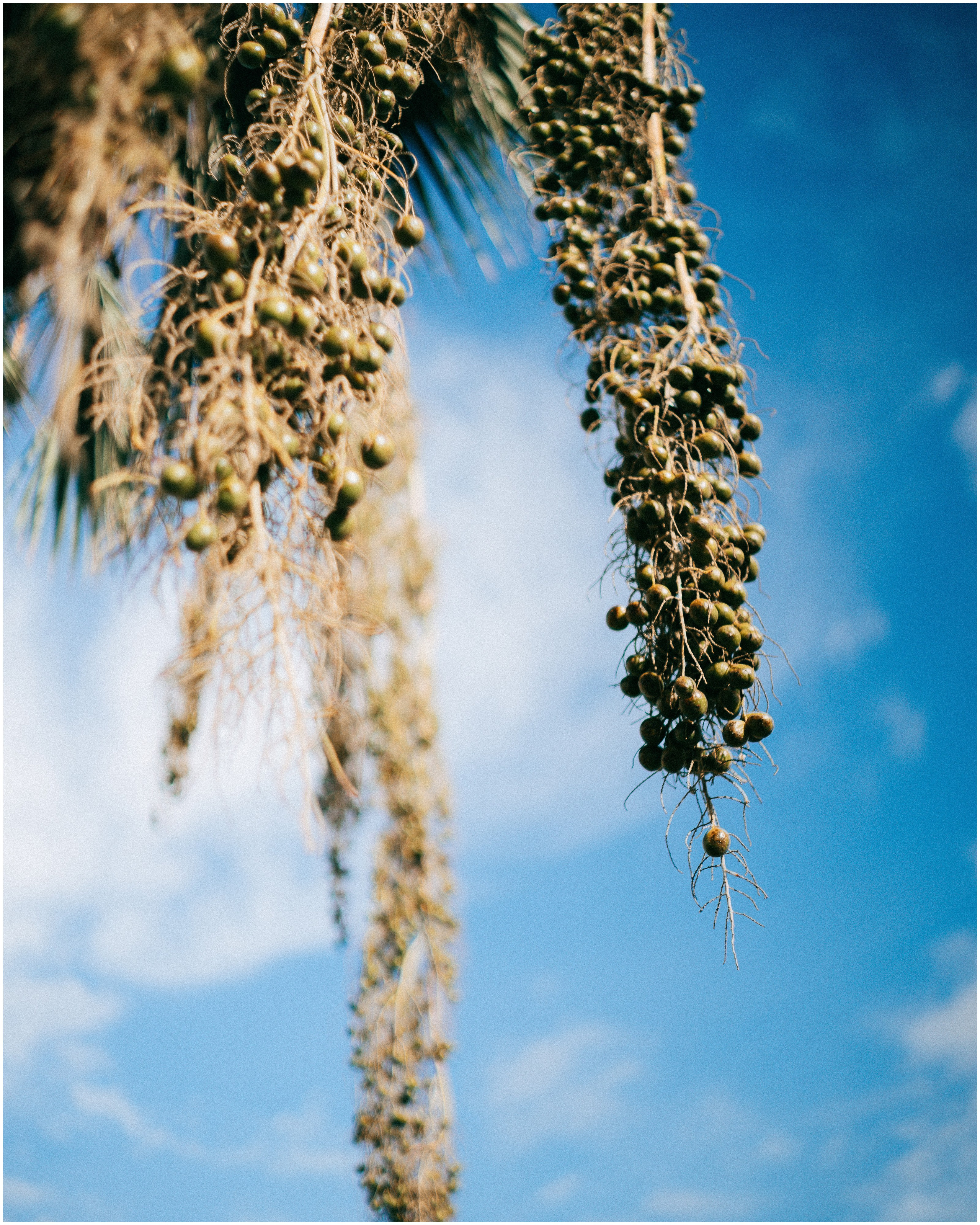 PALERMO. Photographer Inna Mendelson