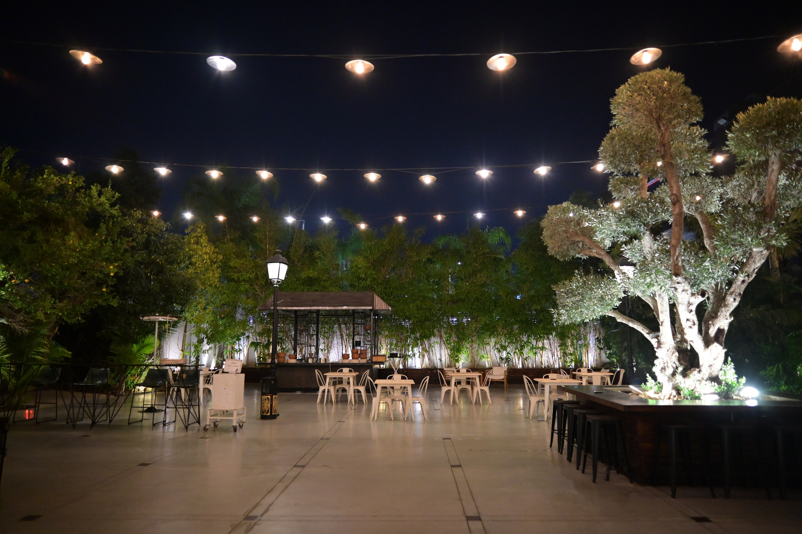 תרין TARIN עיצוב. Wedding and events photographers Studio Shalom