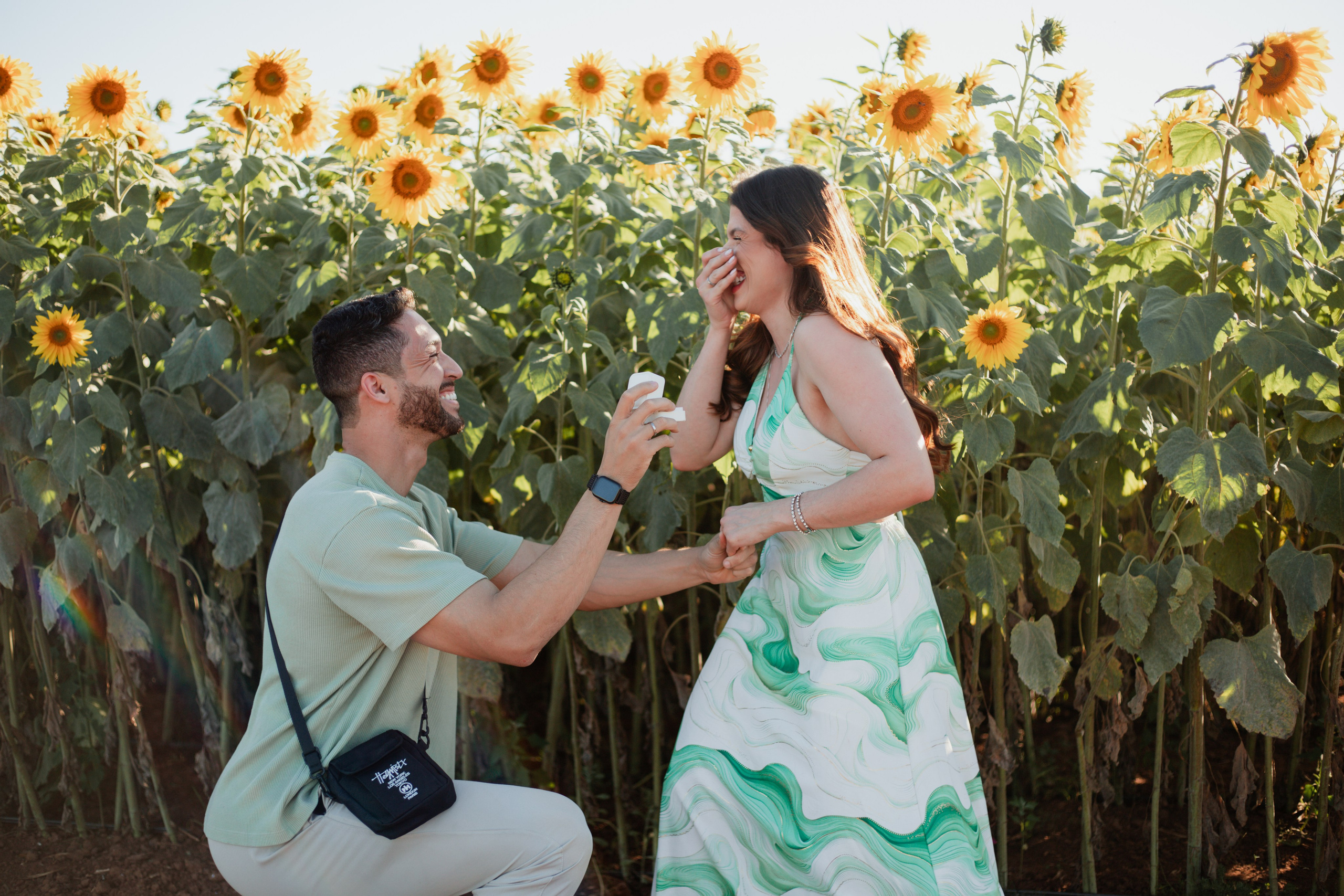 Pedido de Casamento em Holambra. Joyce Maria Fotografia | Fotógrafa em Holambra