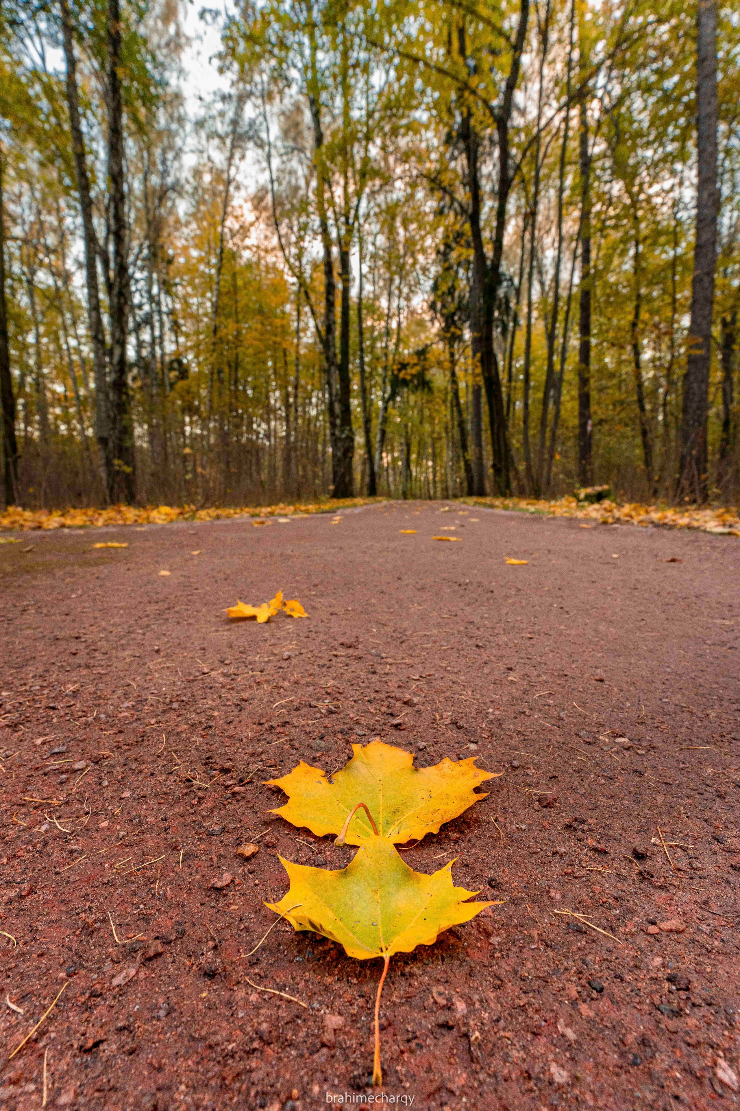 Фото. Брахим — фотограф