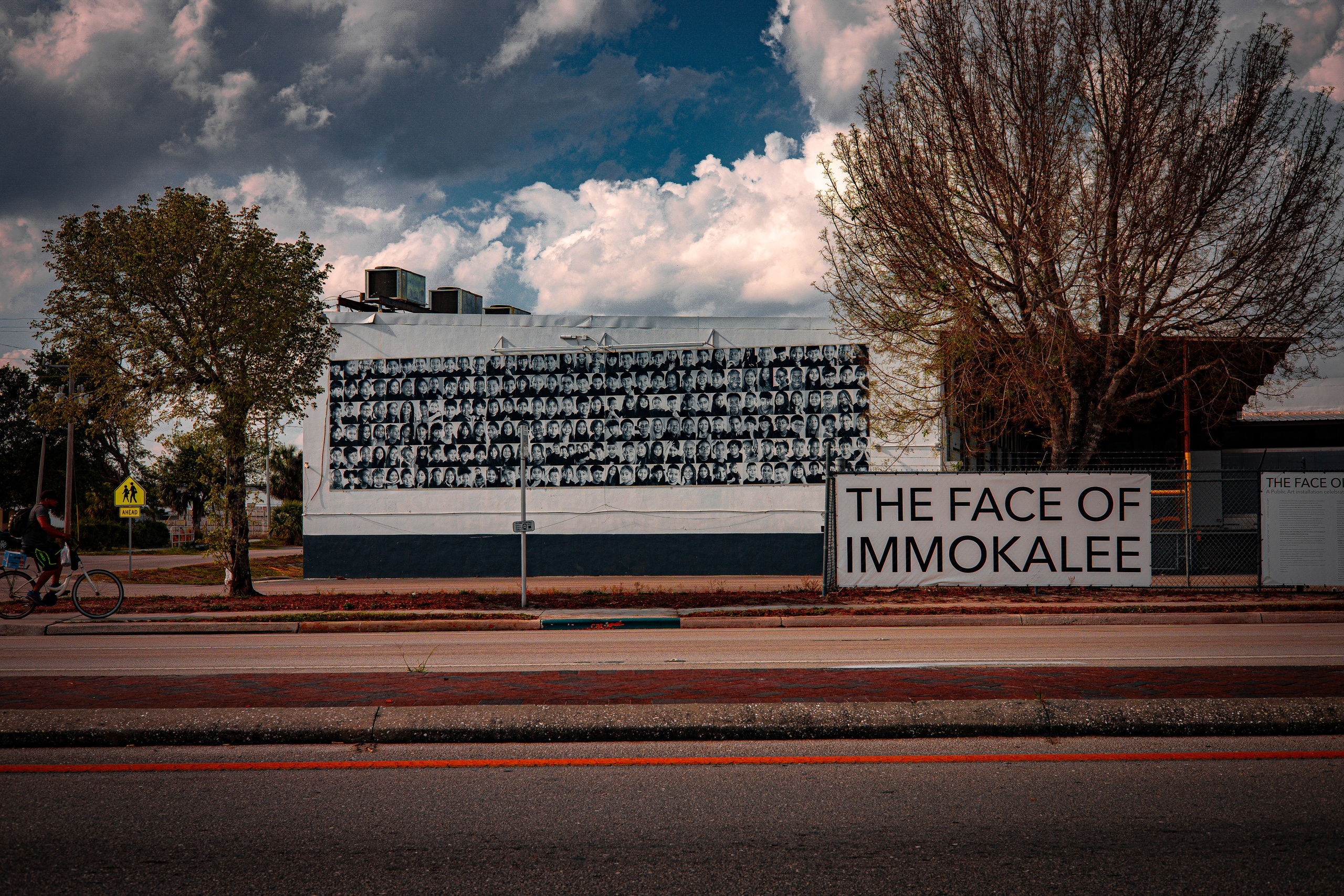 Americana — Immokolee. Out and About 239