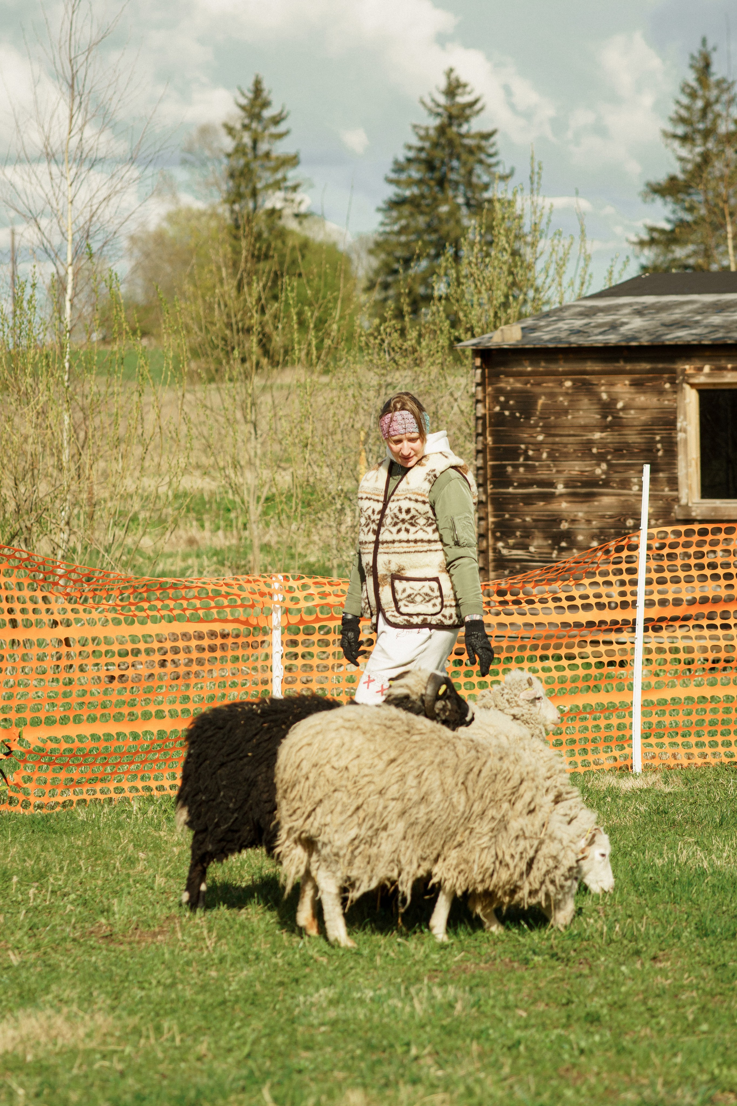 Herding Days, 26 apr. 2025. Kat Laisaar — Pet photographer in Tallinn