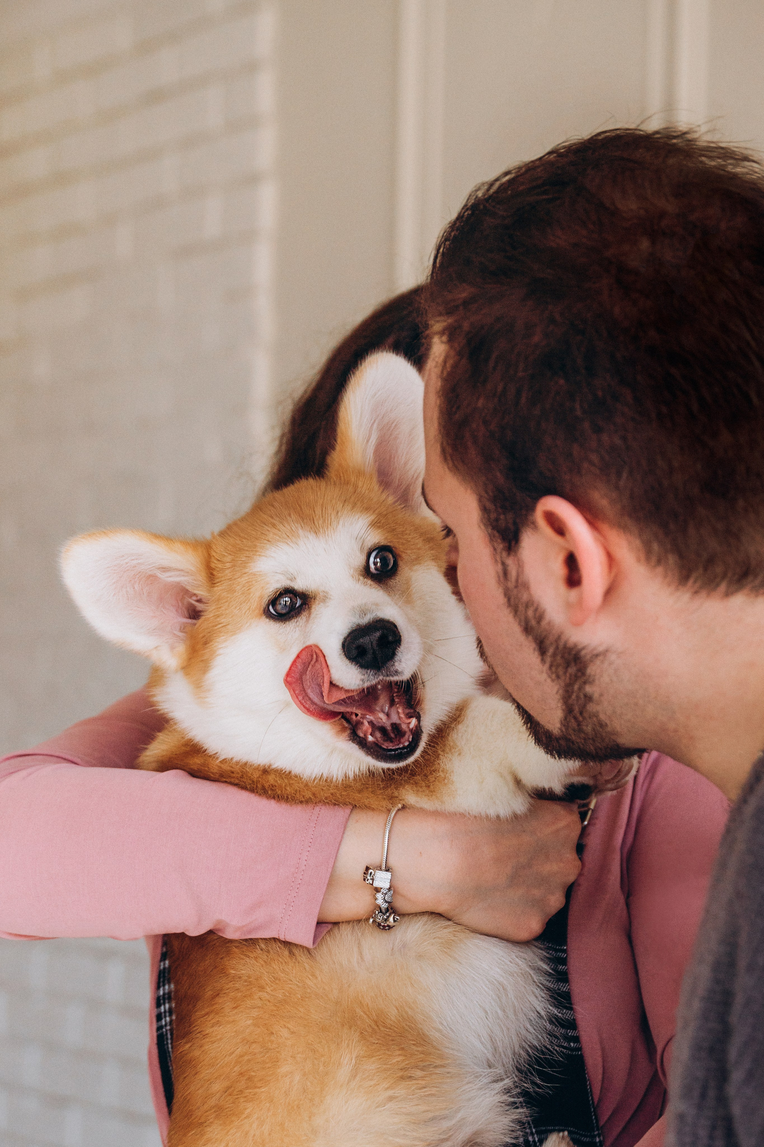 Mars & his Family. Kat Laisaar — Pet photographer in Tallinn