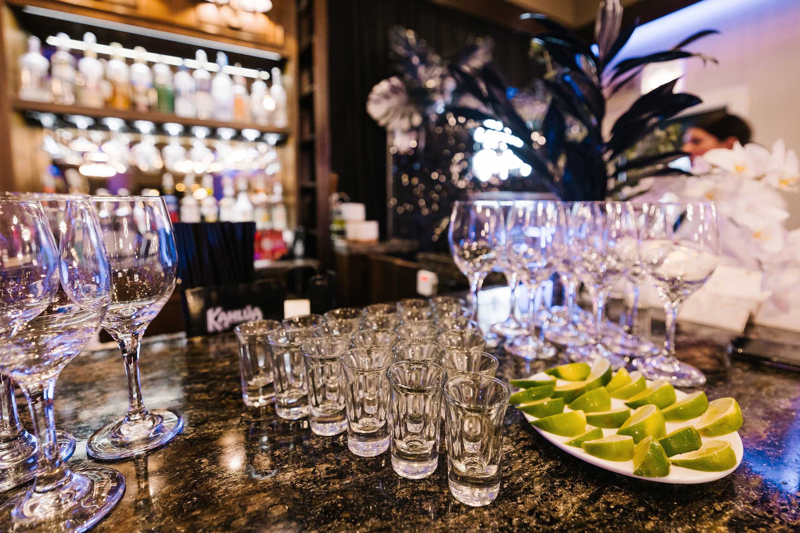 06.28.25 Birthday Party. Wedding family event photographer in Chicago Nick Yushevich