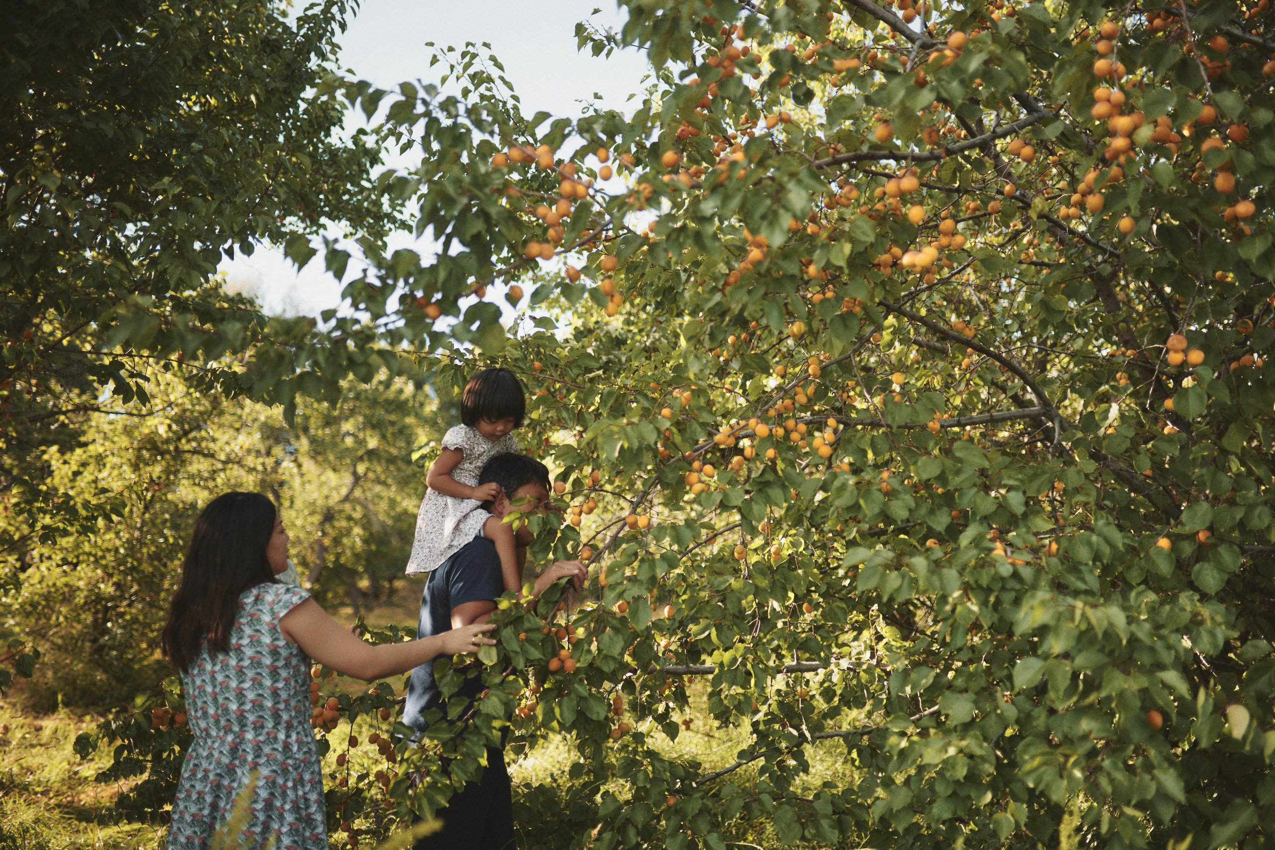 Анзу. Валерия Вартанова. Фотограф
