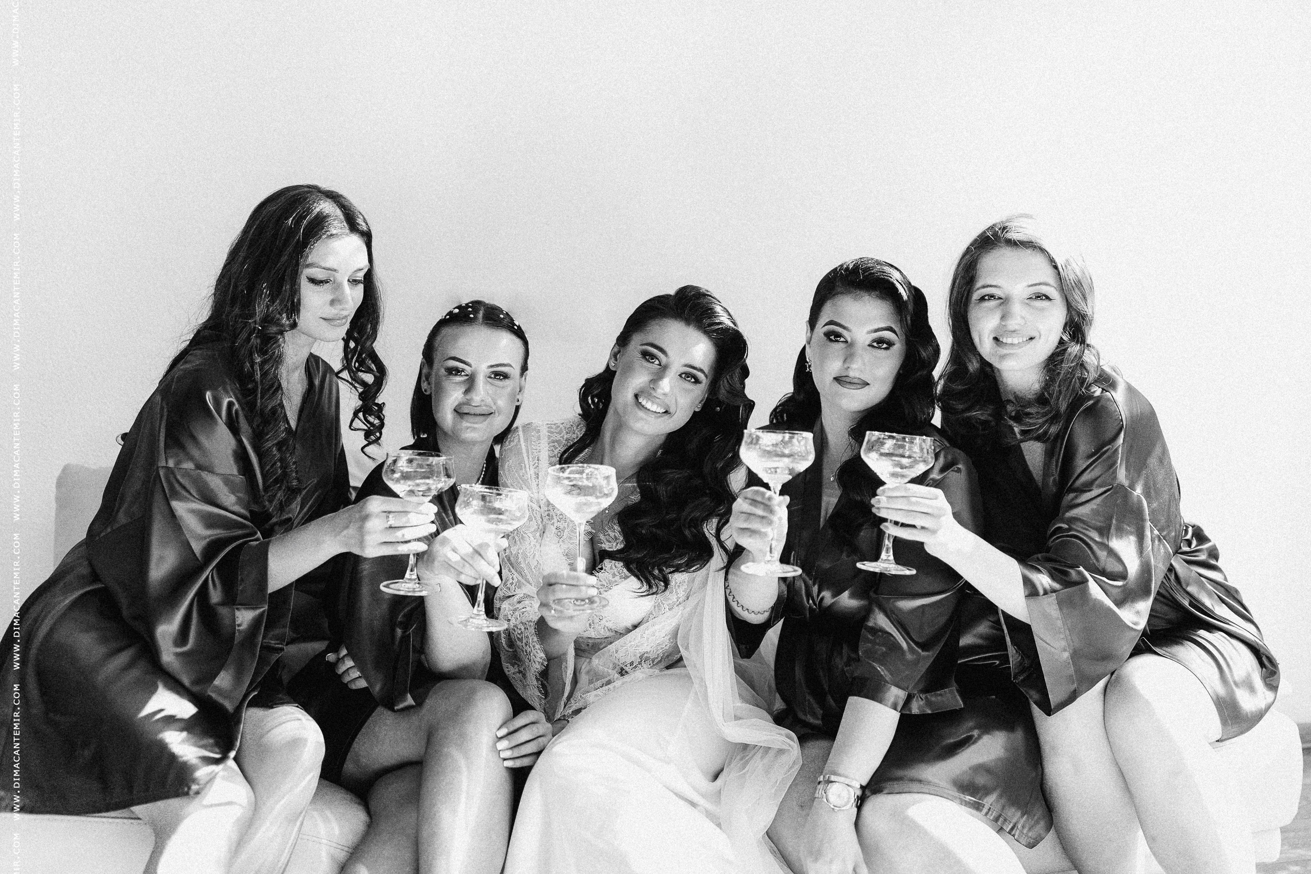 ION + DANA | VILA DRAGO. Fotograf de nuntă în Chisinau, Moldova. Poze și Video Comerciale