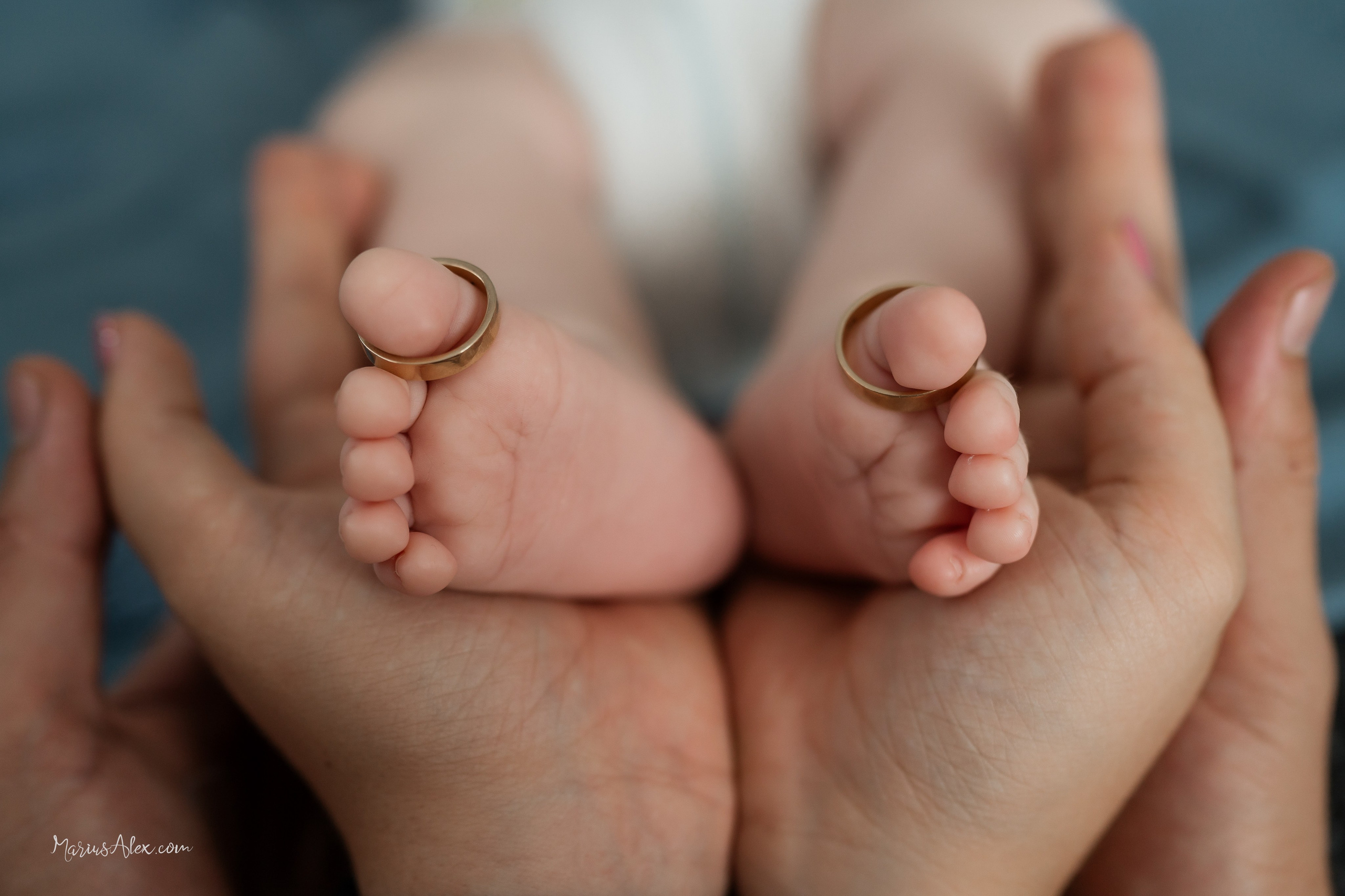 Prețuri. Marius Alex fotograf de eveniment si portret din Suceava