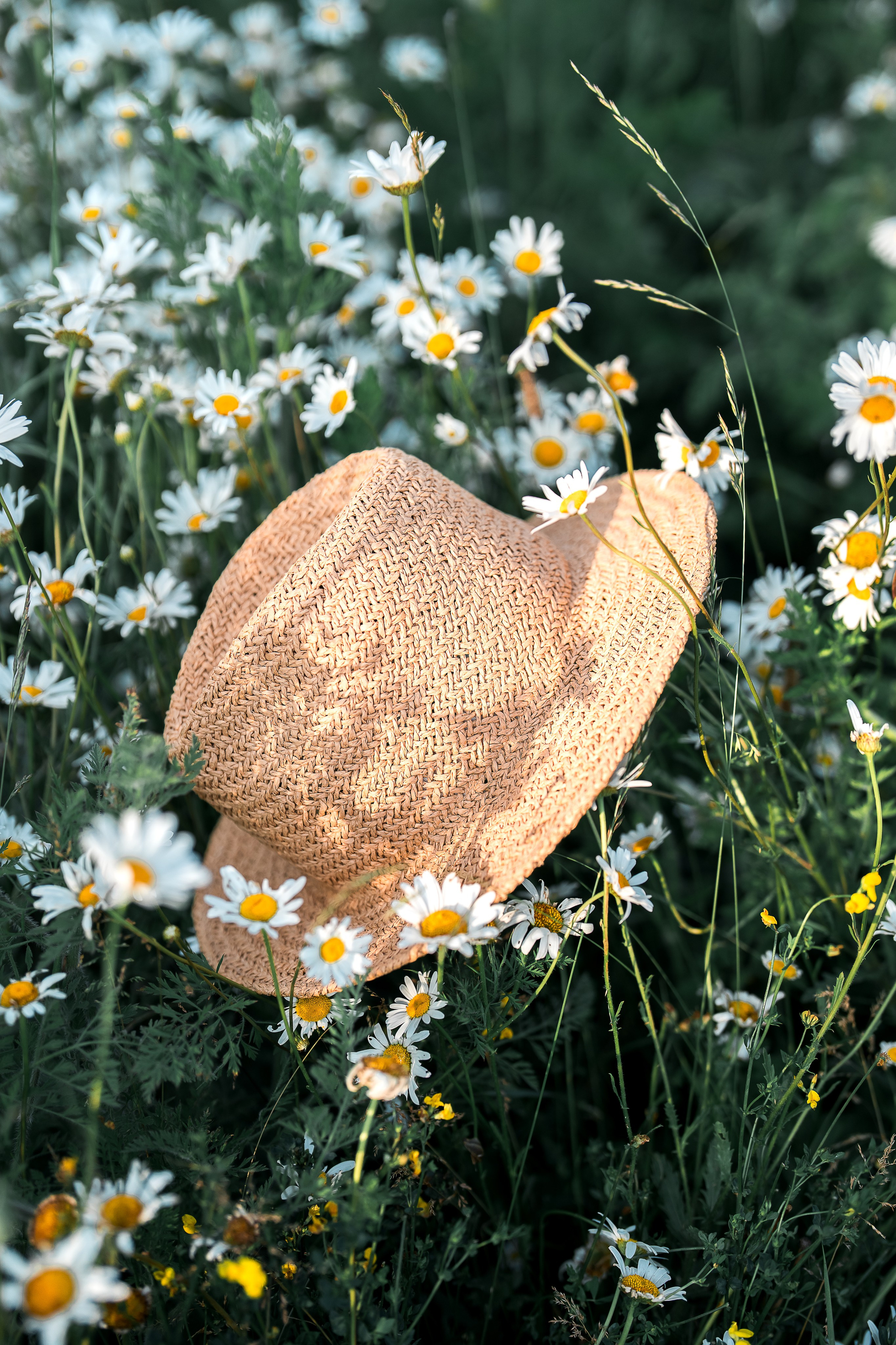 Beautiful Christina. Familien, Portrait und Konzeptualfotografie in Genf, Schweiz