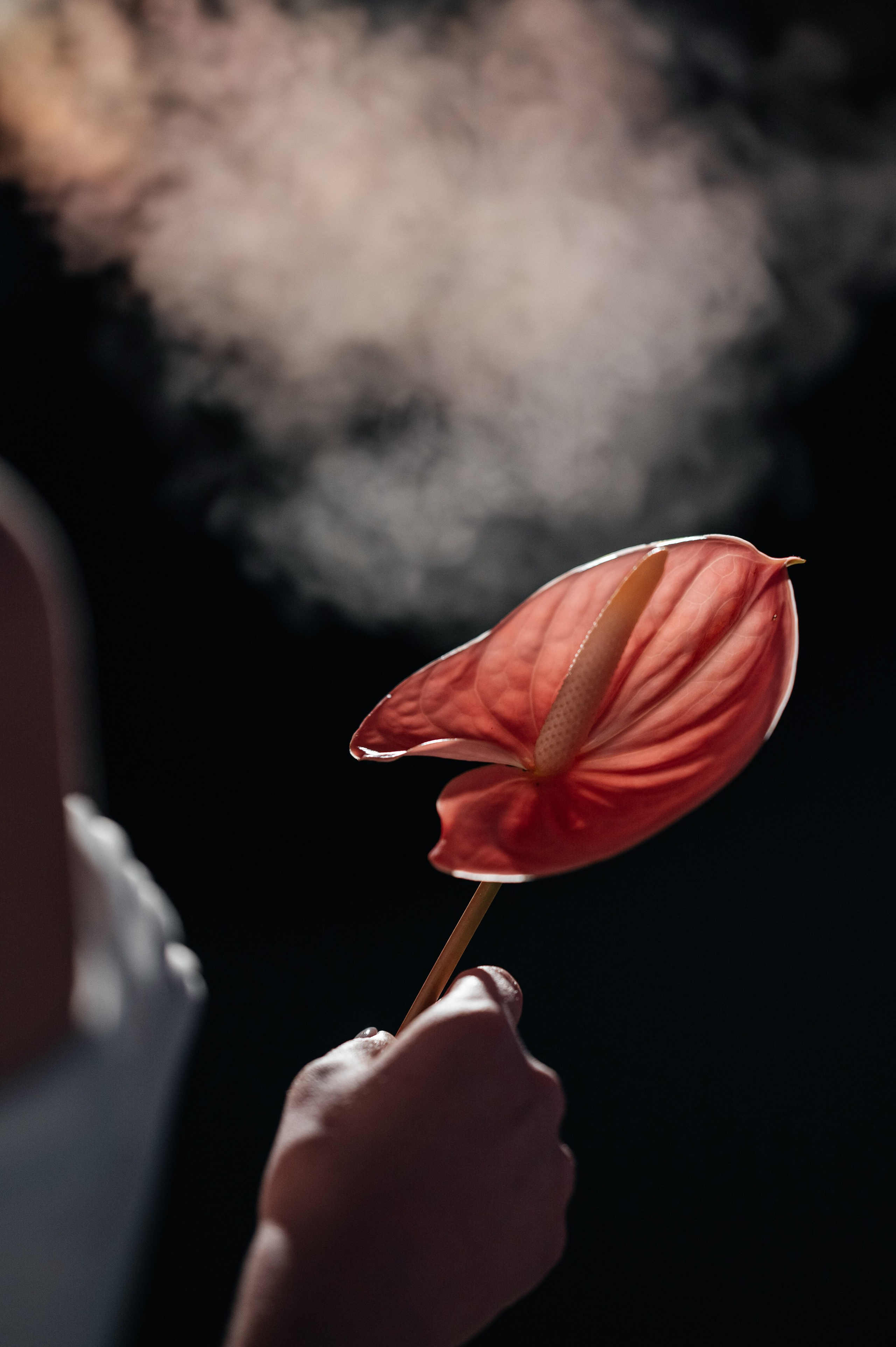 В зимнем замке со свечами. Фотограф Таллинн — свадьба |семья | lovestory