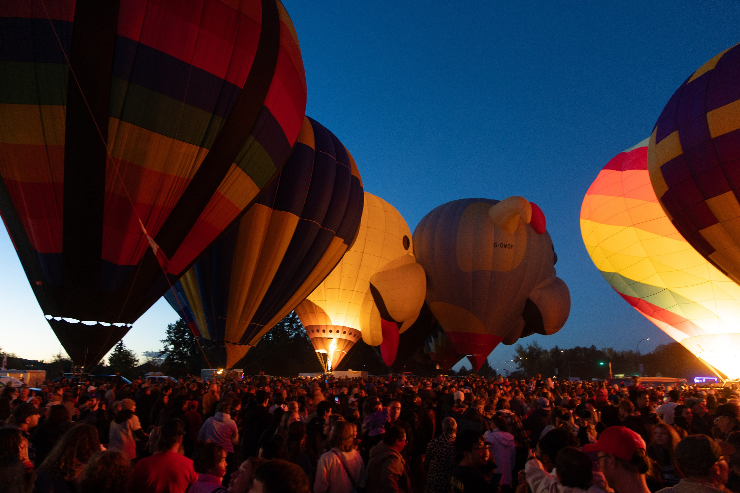 High River Balloon Festival Lights Up the Sky. ProFly.club — Professional aerial filming in Calgary