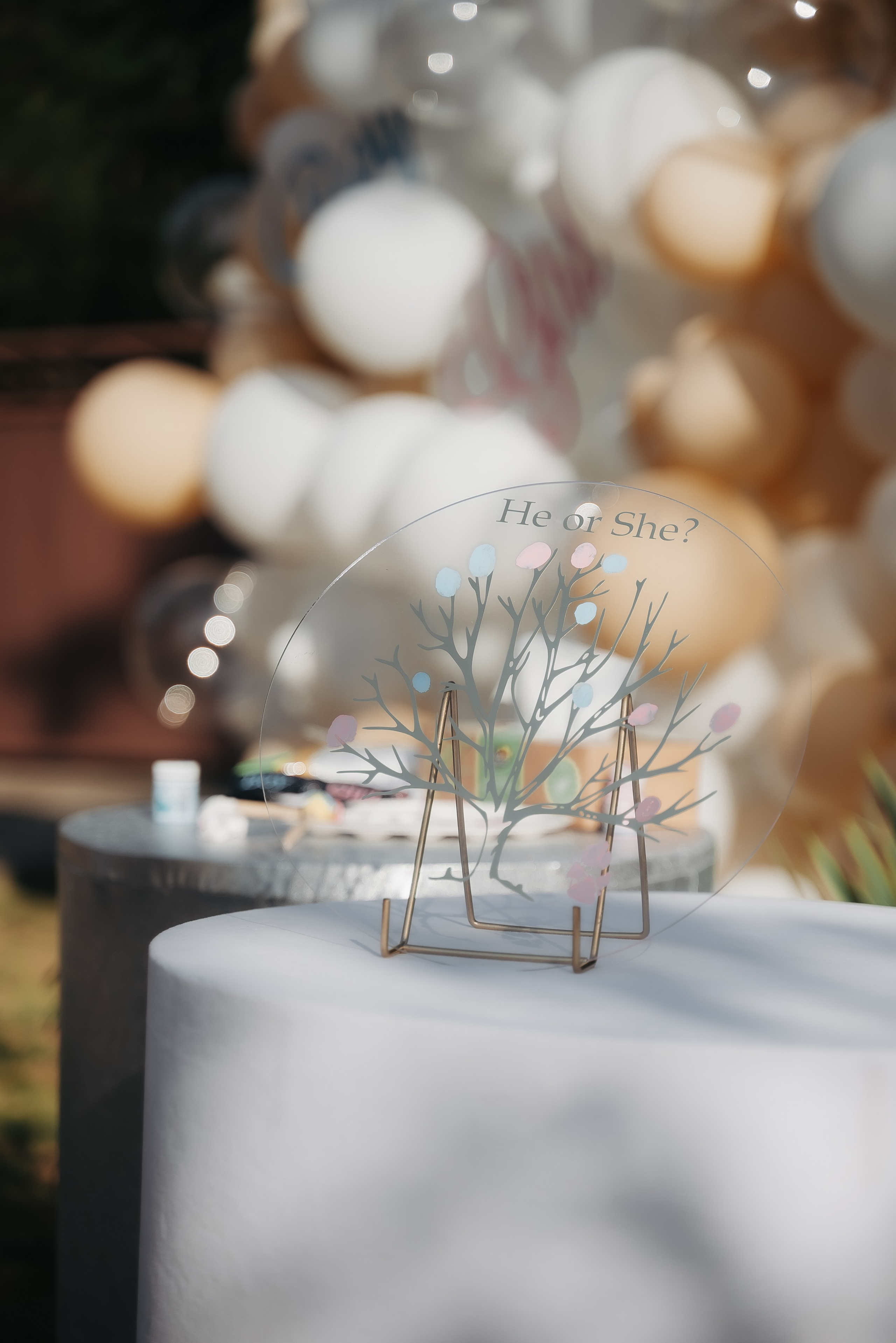 Gender Party. ST.PHOTO13