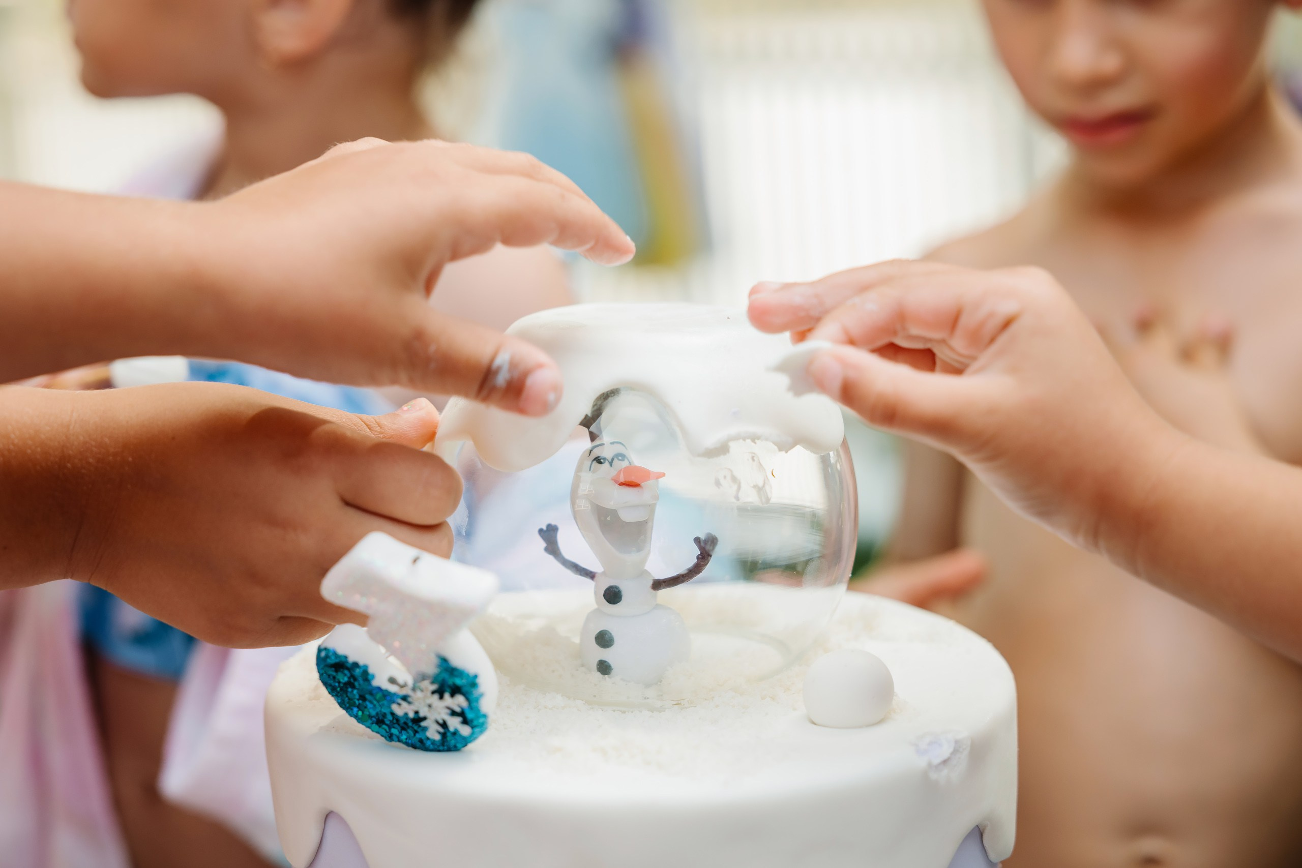 07.27.2024 Birthday Party. Wedding family event photographer in Chicago Nick Yushevich