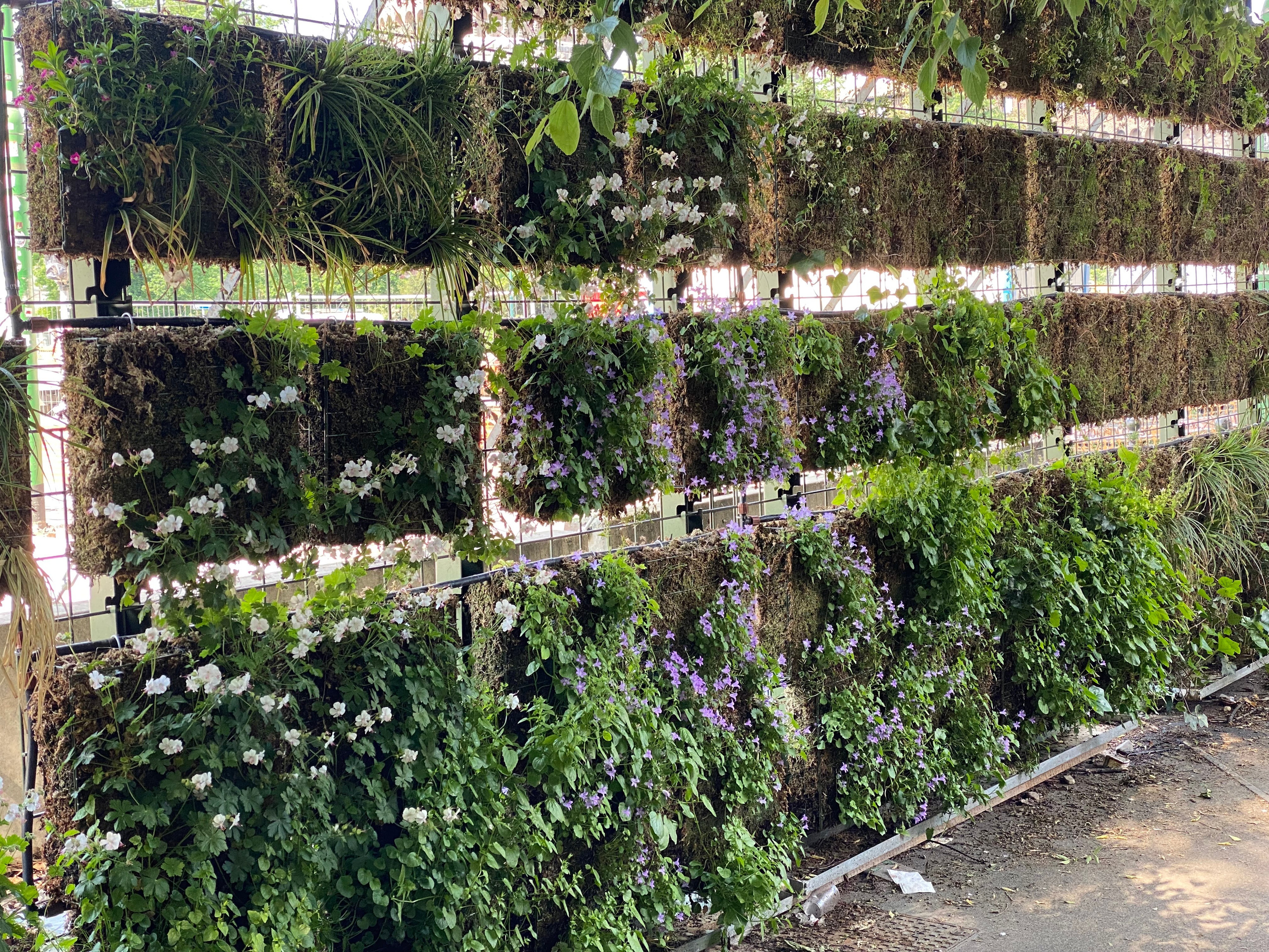 Kάθετη Φύτευση. Geoponitikon-Όταν η Επιστήμη συναντά την Τέχνη στο Φυσικό Τοπίο!