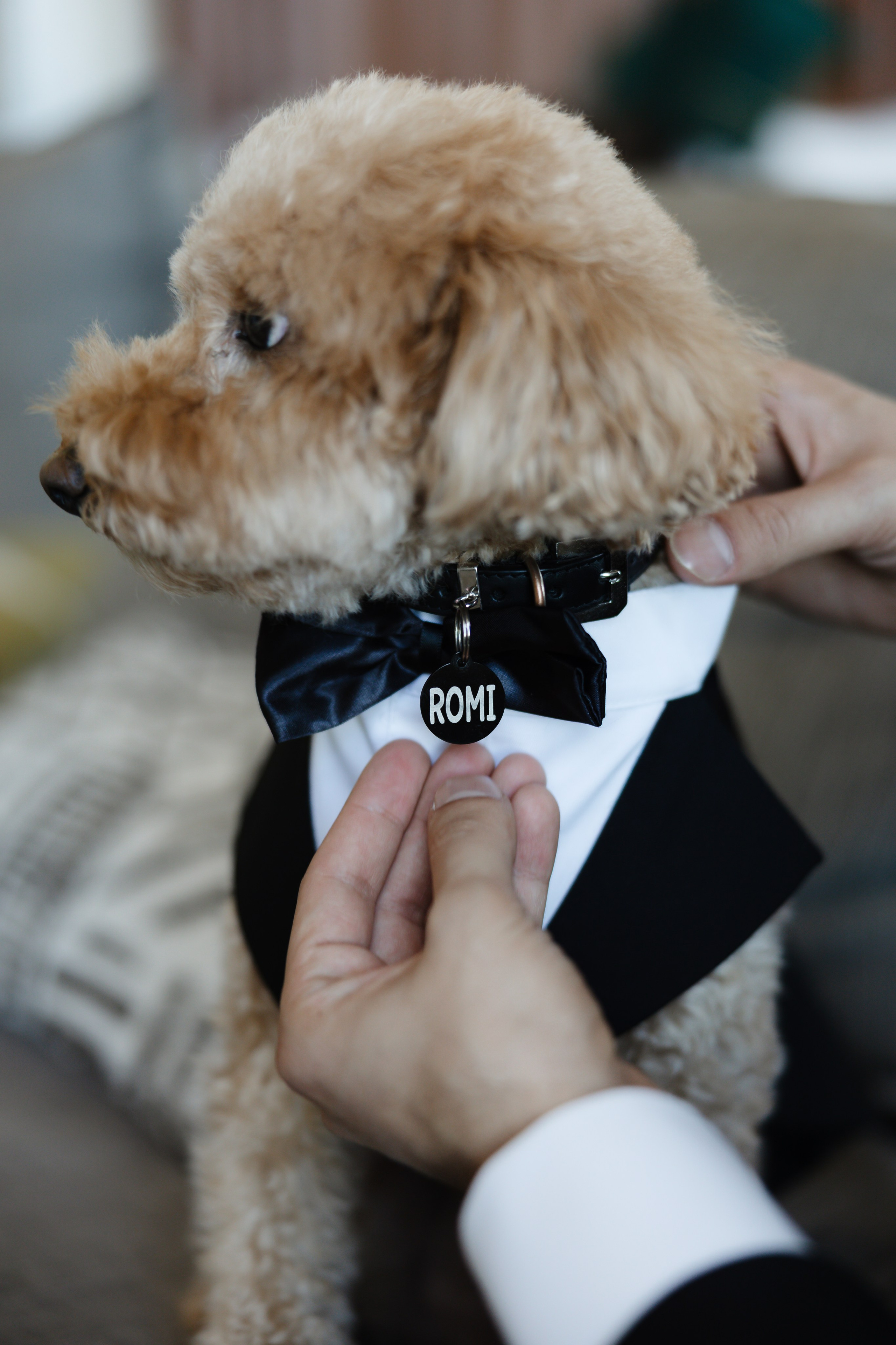 HAYLEY & JULIAN’S WEDDING DAY. YES I DO PRODUCTION — Wedding photography&videography