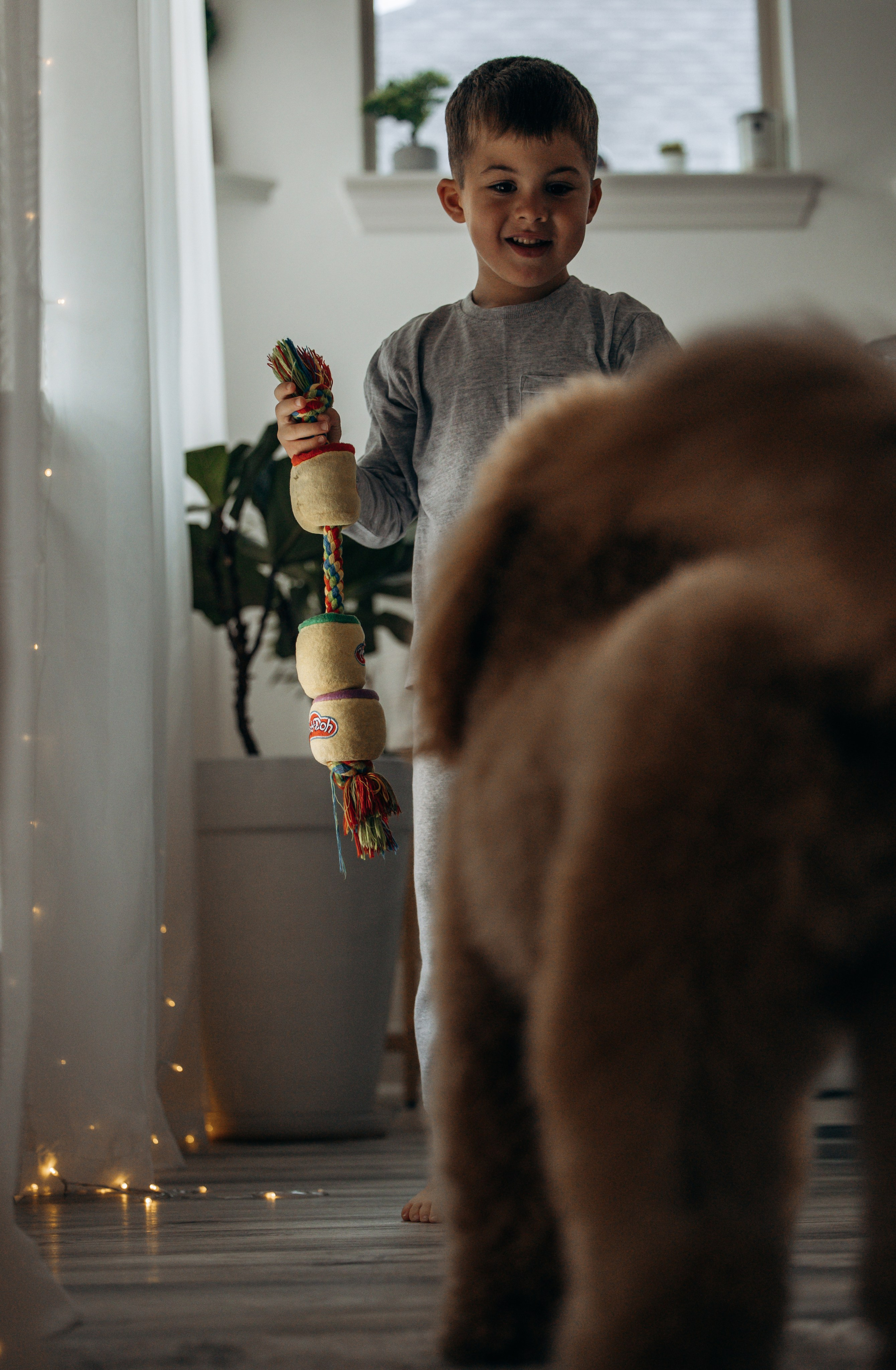 Richie & his Family. Pet Photographer Viktoriya Aleshenko